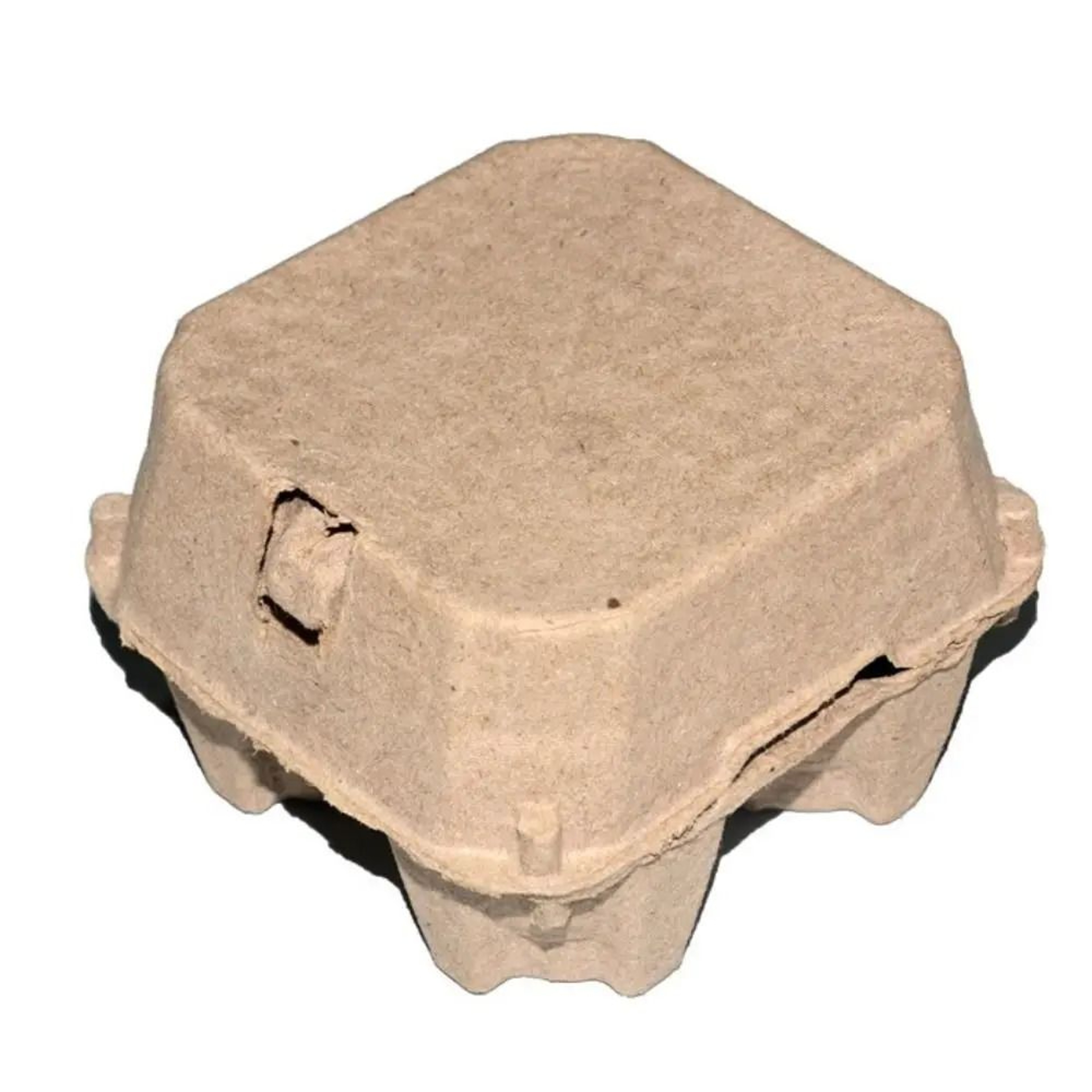 EcoFriendly Kraft Pulp 4Compartment Egg Cartons 3