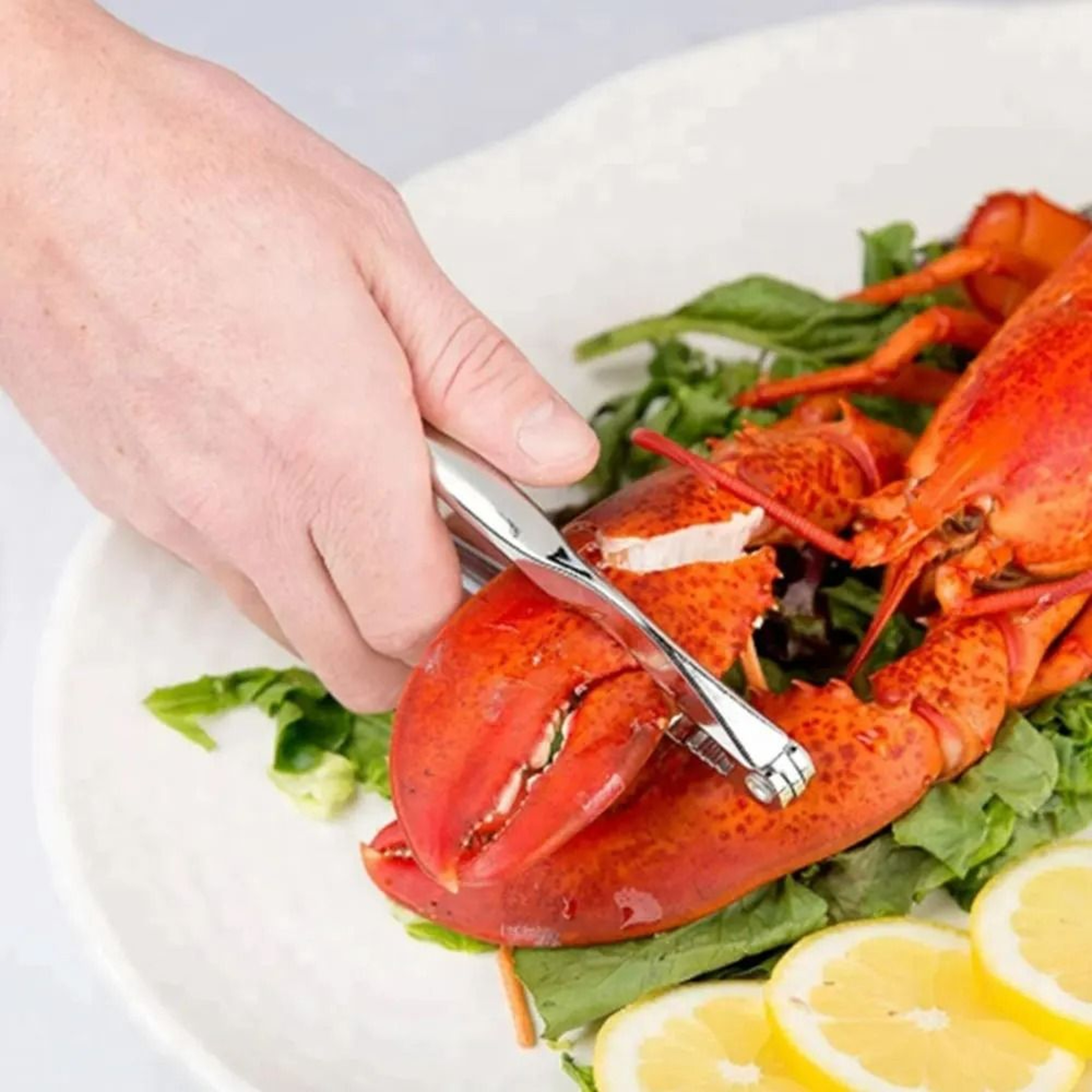 9Piece Stainless Steel  Zinc Alloy Seafood Tools Set  HeavyDuty Lobster  Crab Cracker Kit 1