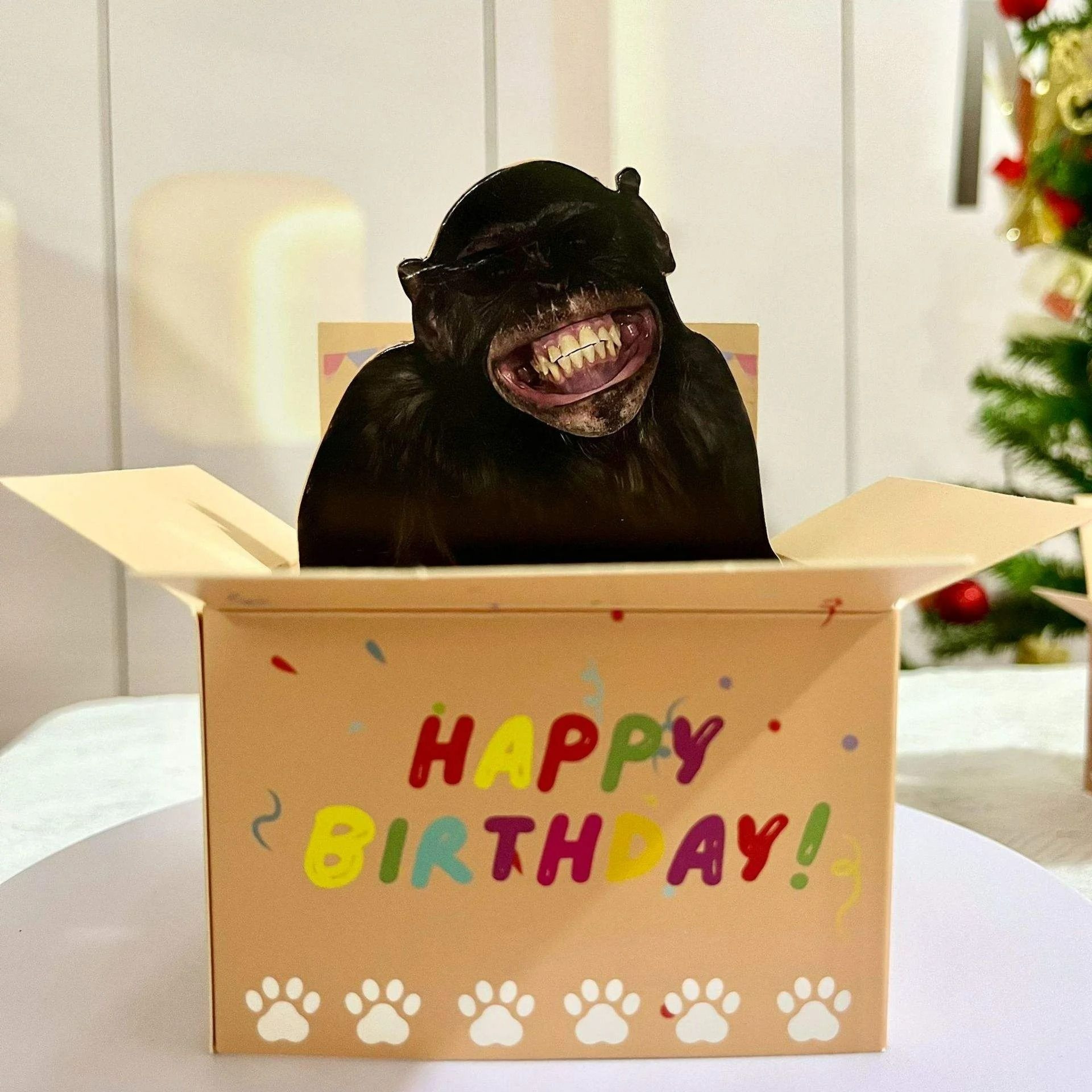 3D Hilarious PopUp Happy Birthday Card 4