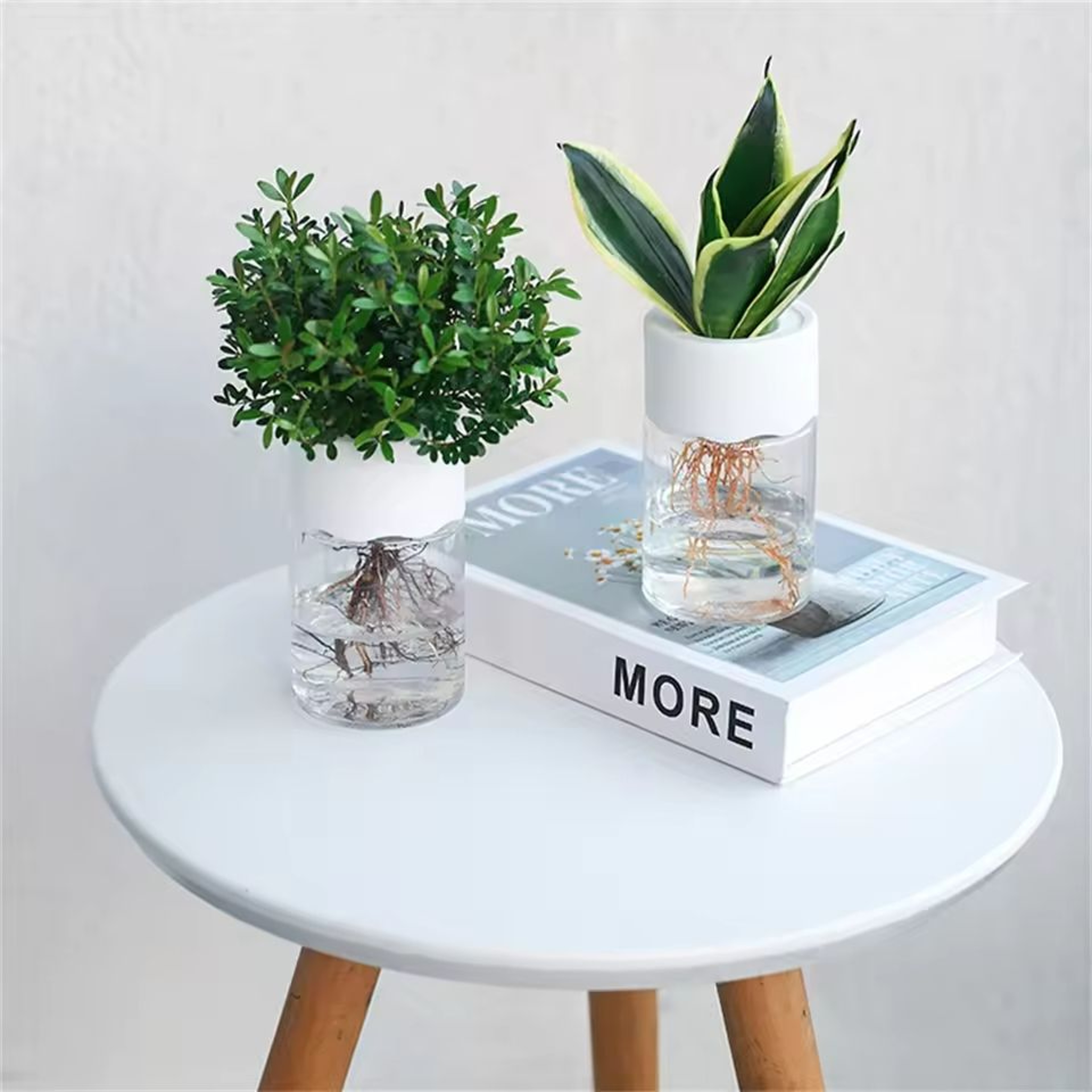 Mini Transparent Hydroponic Flower Pot 2