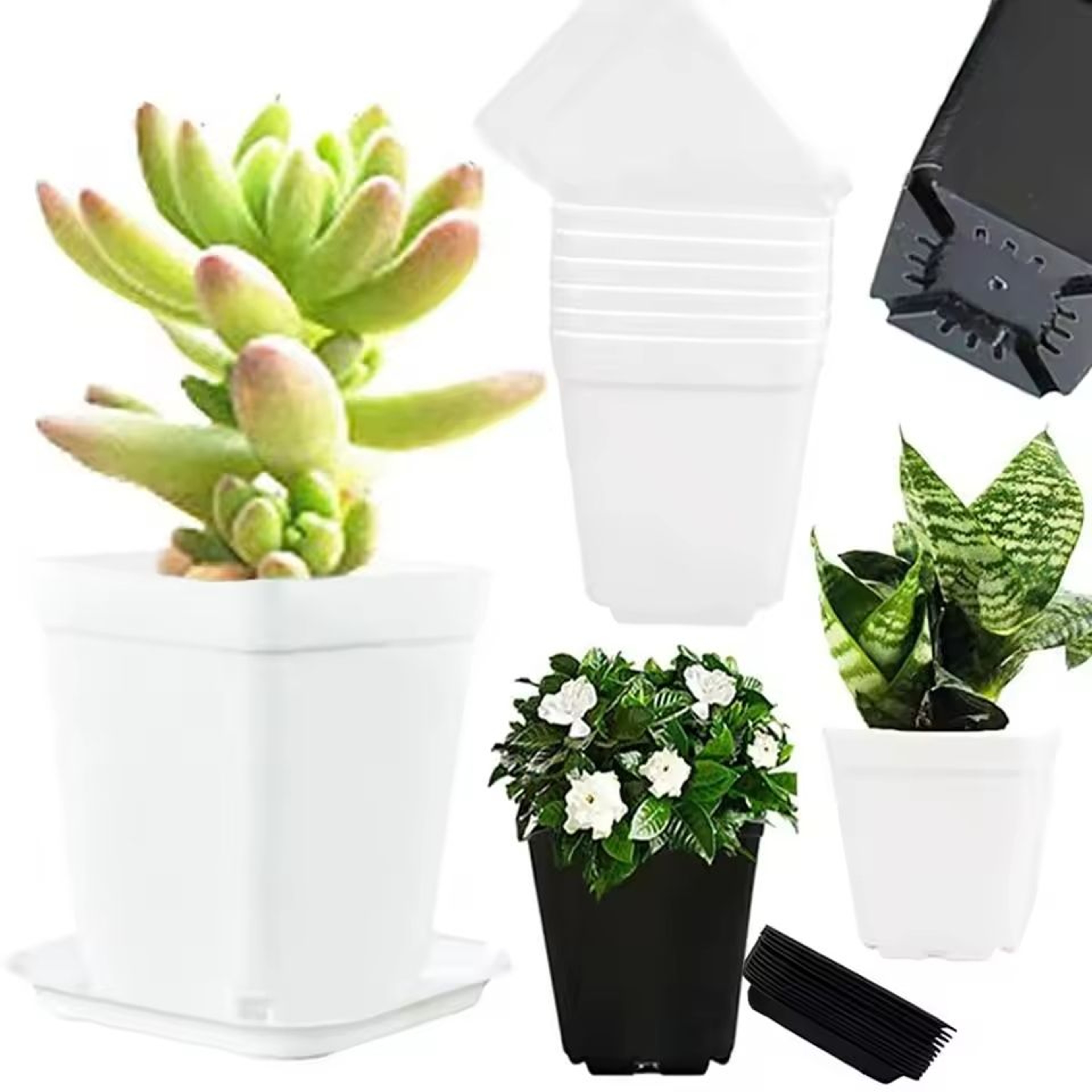Mini Square Succulent Planter  Tray Set 20Piece Pack 5