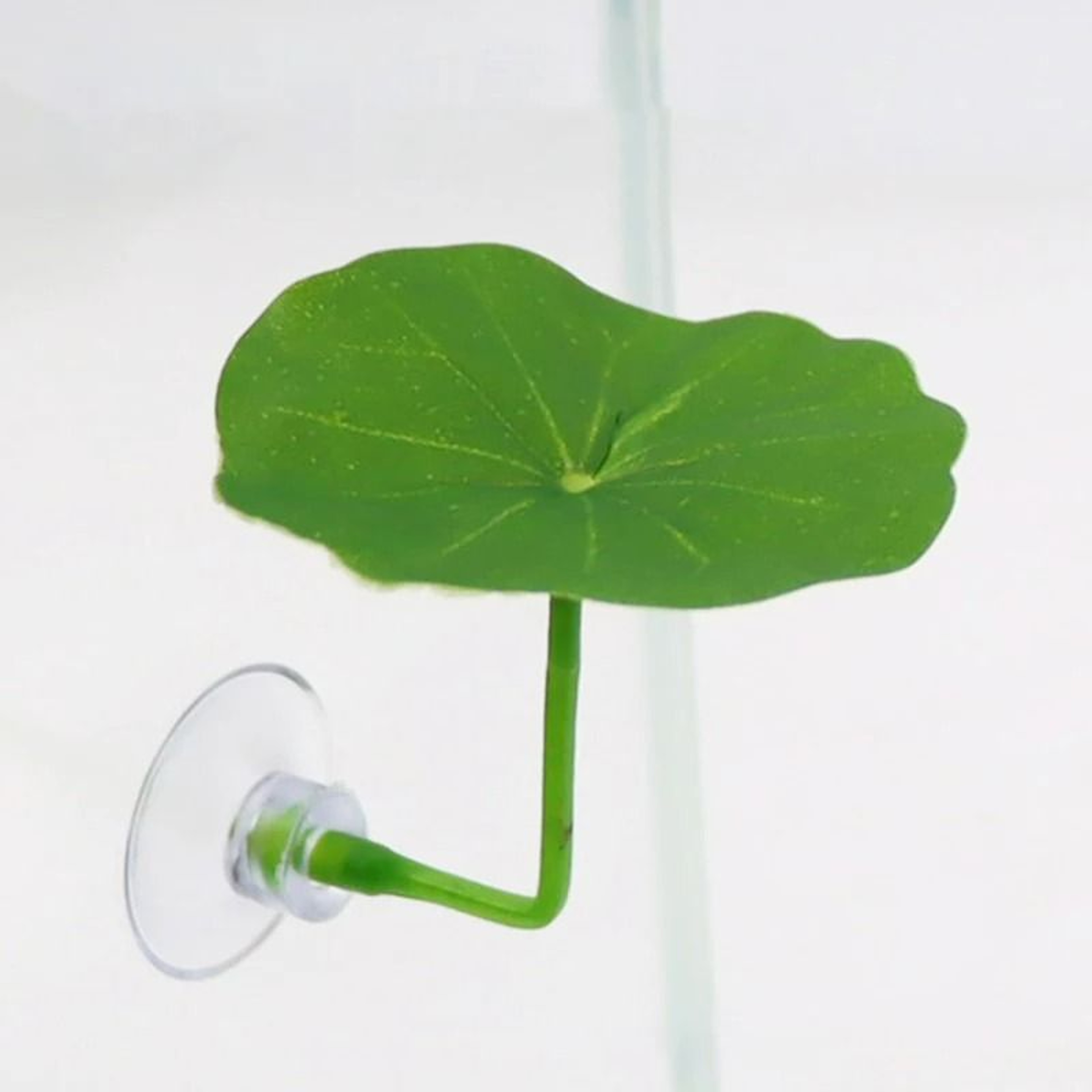 Betta Fish Resting Leaf Hammock With Suction Cup 7