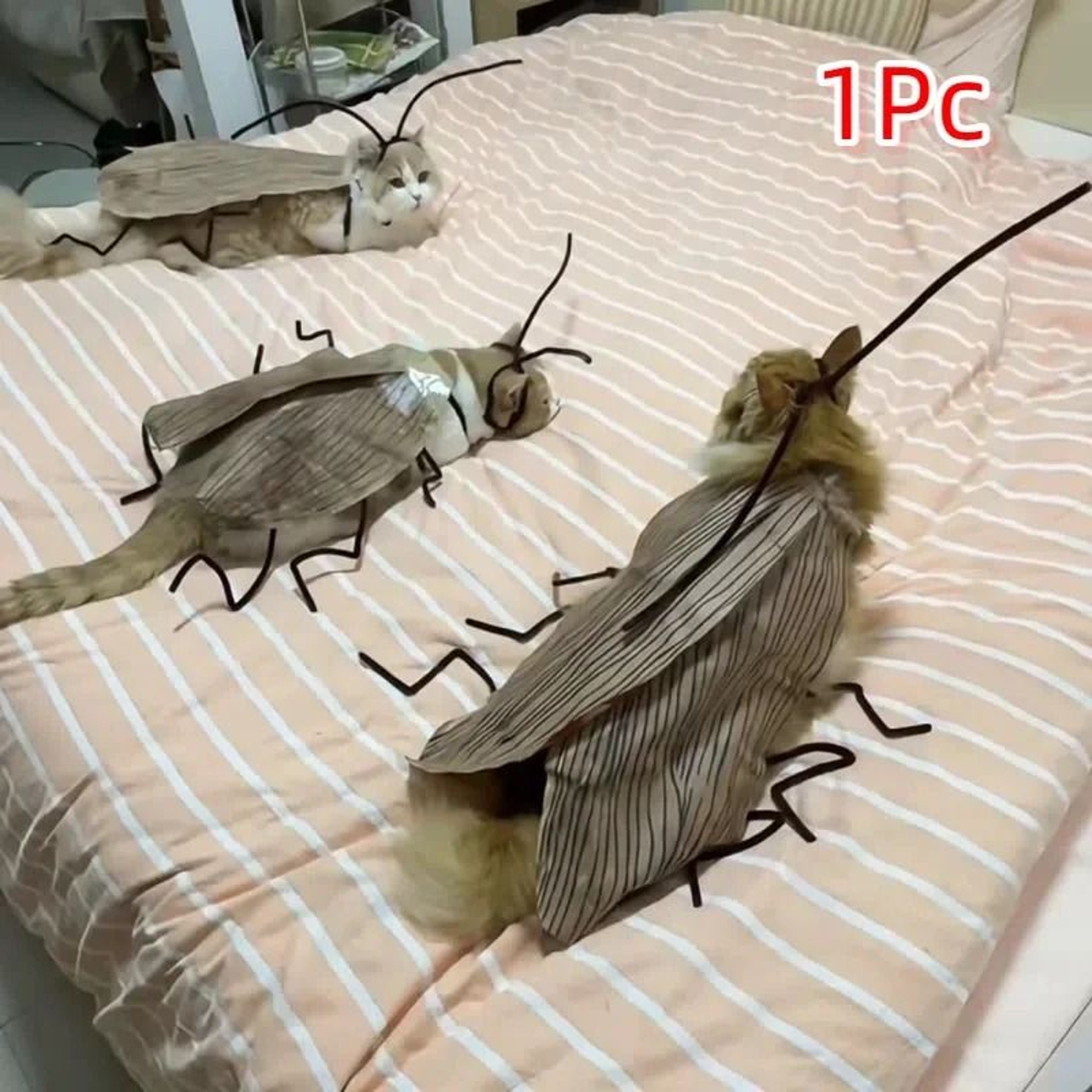 Cat Cockroach Costume DIY Material Pack  Breathable Pet Costume 6