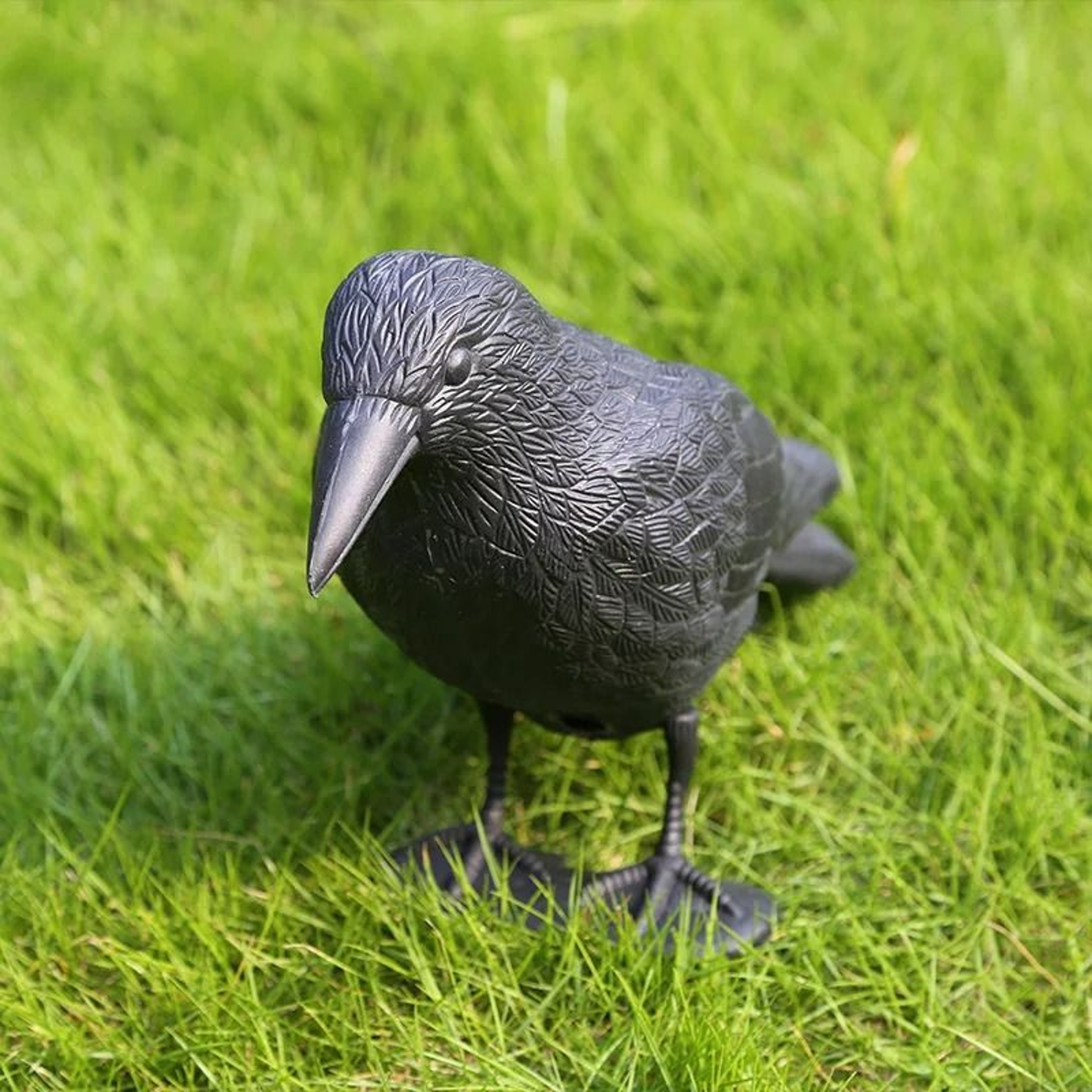Realistic Black Crow  Raven Prop For Halloween  Outdoor Bird Repellent 0