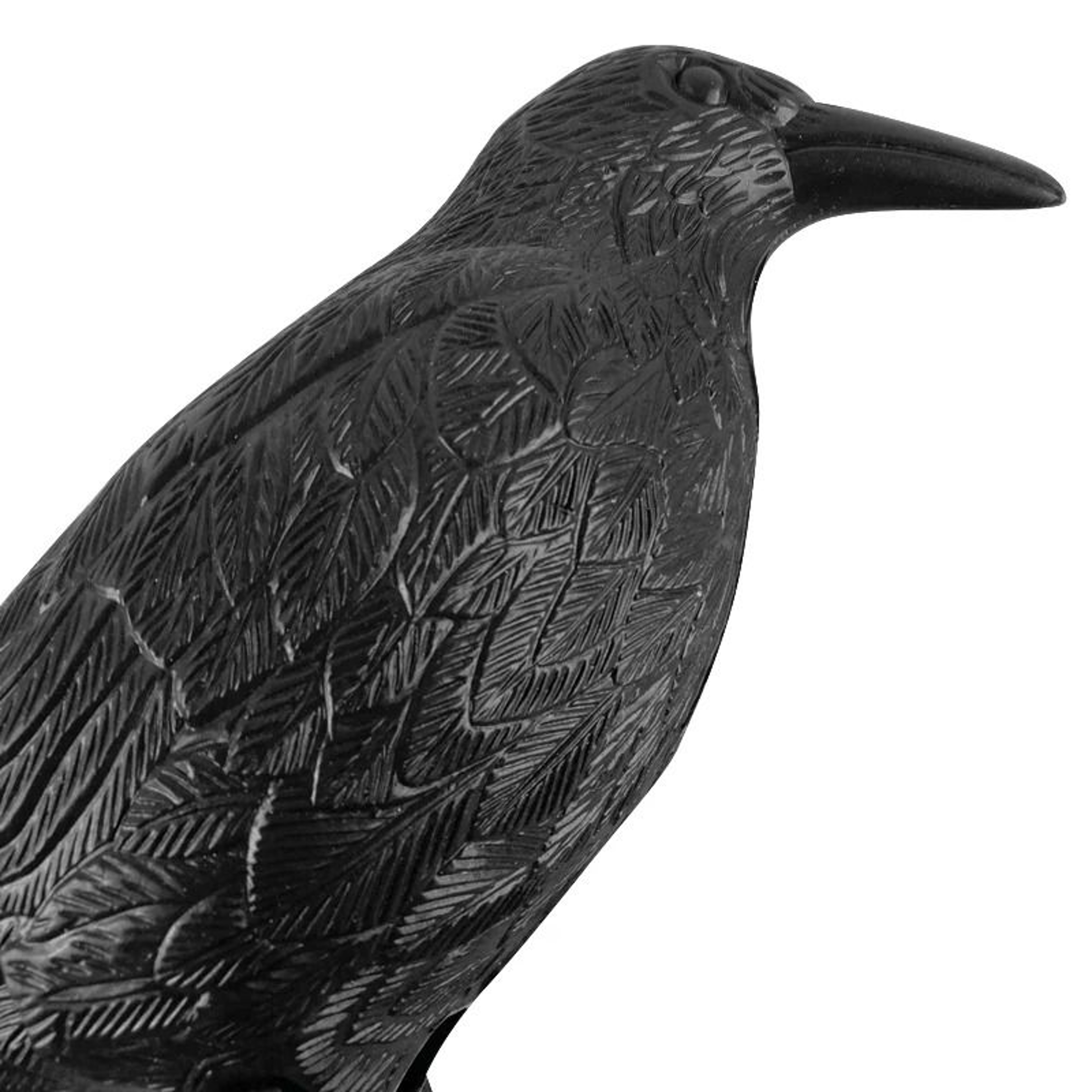 Realistic Black Crow  Raven Prop For Halloween  Outdoor Bird Repellent 5