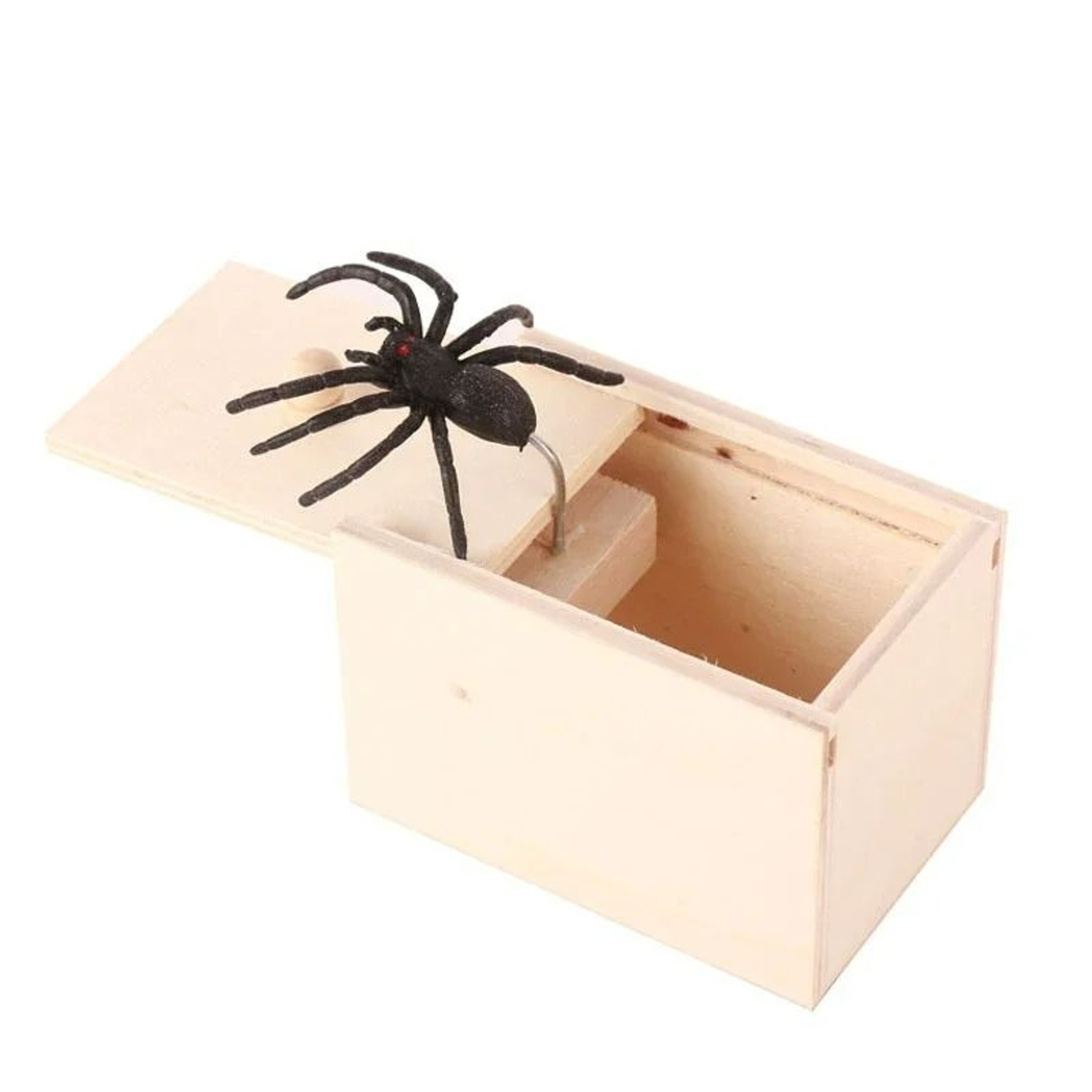 Realistic Spider In Wooden Prank Box For Halloween  Parties 4
