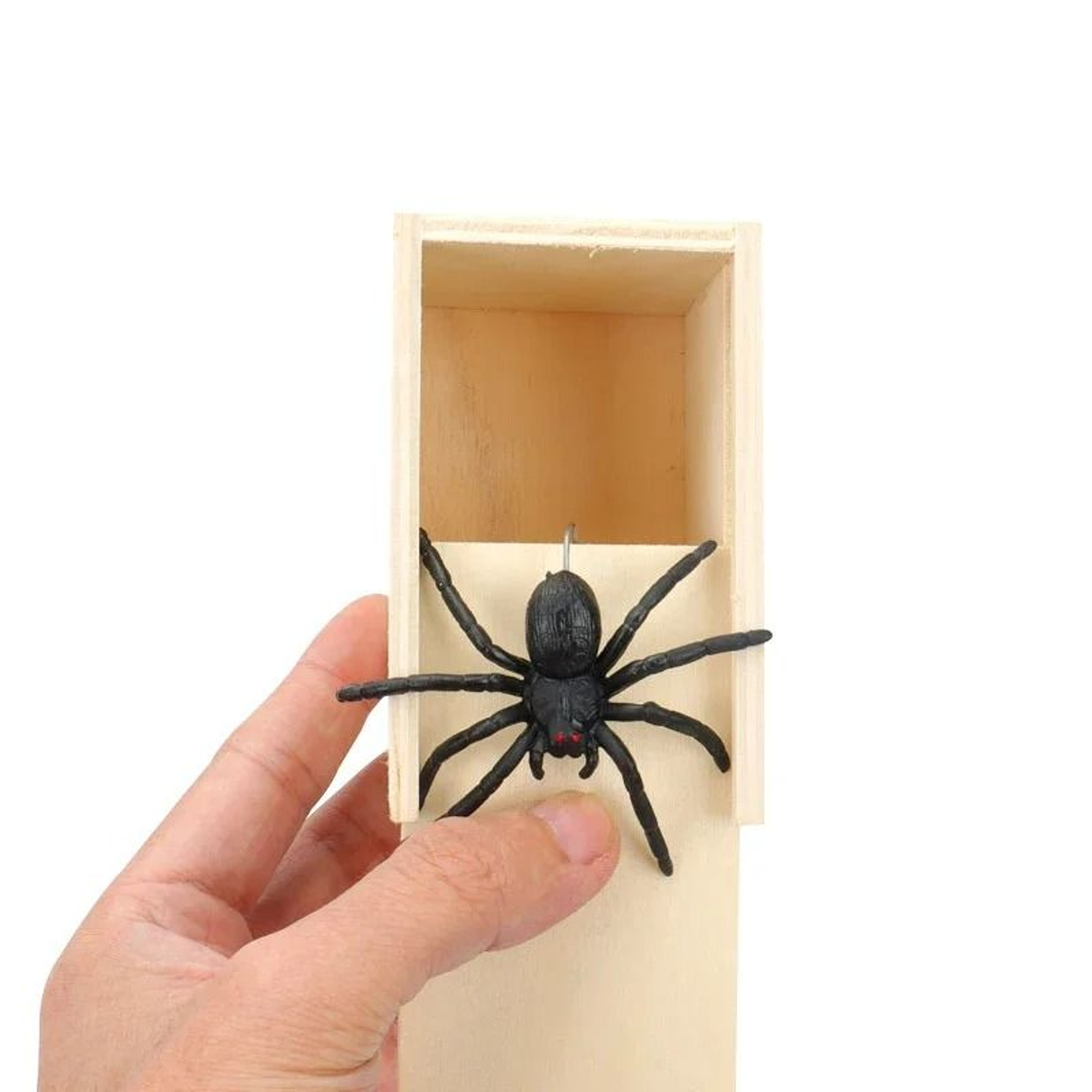 Realistic Spider In Wooden Prank Box For Halloween  Parties 6