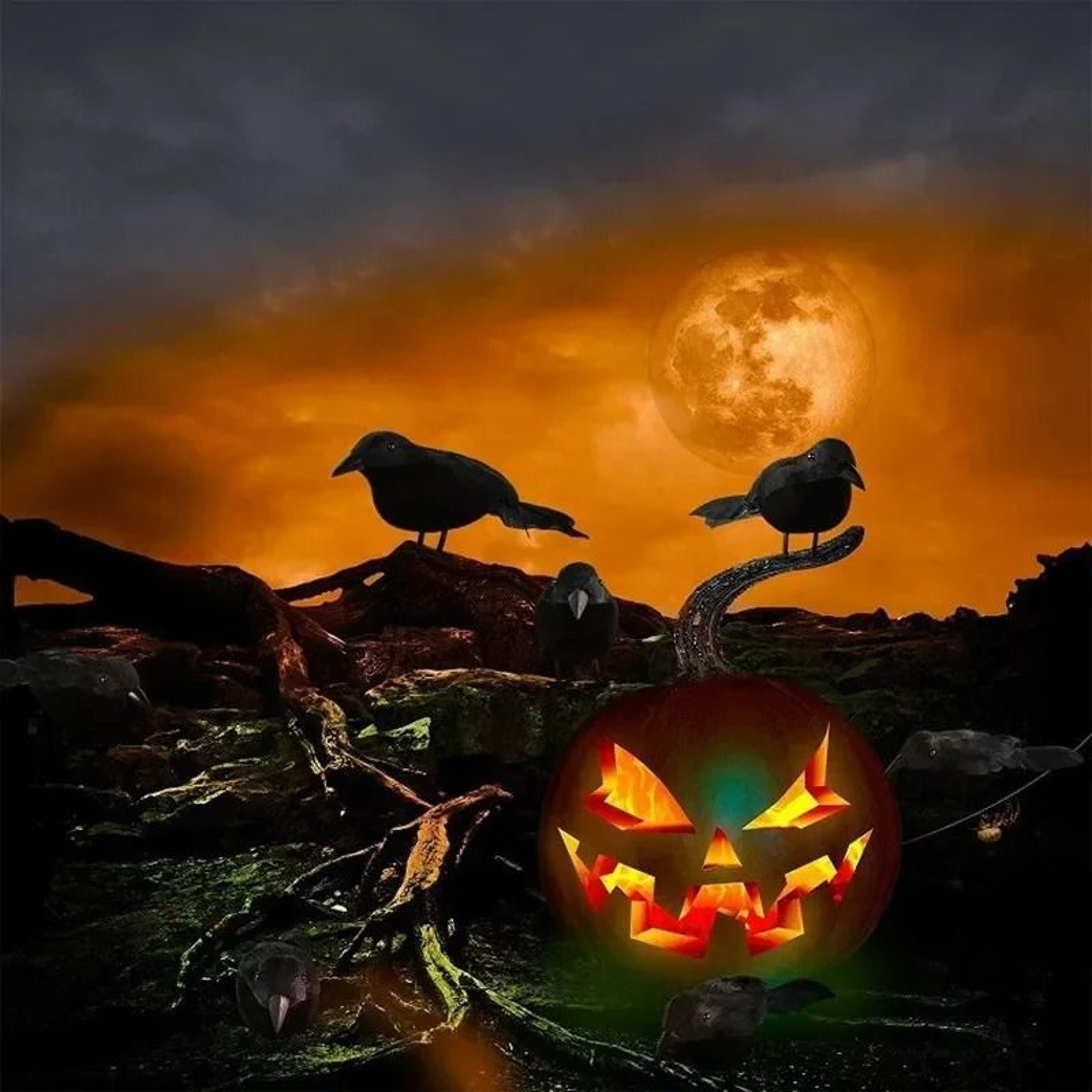 3Pcs Realistic Artificial Crow  Raven Set For Halloween Decor 3