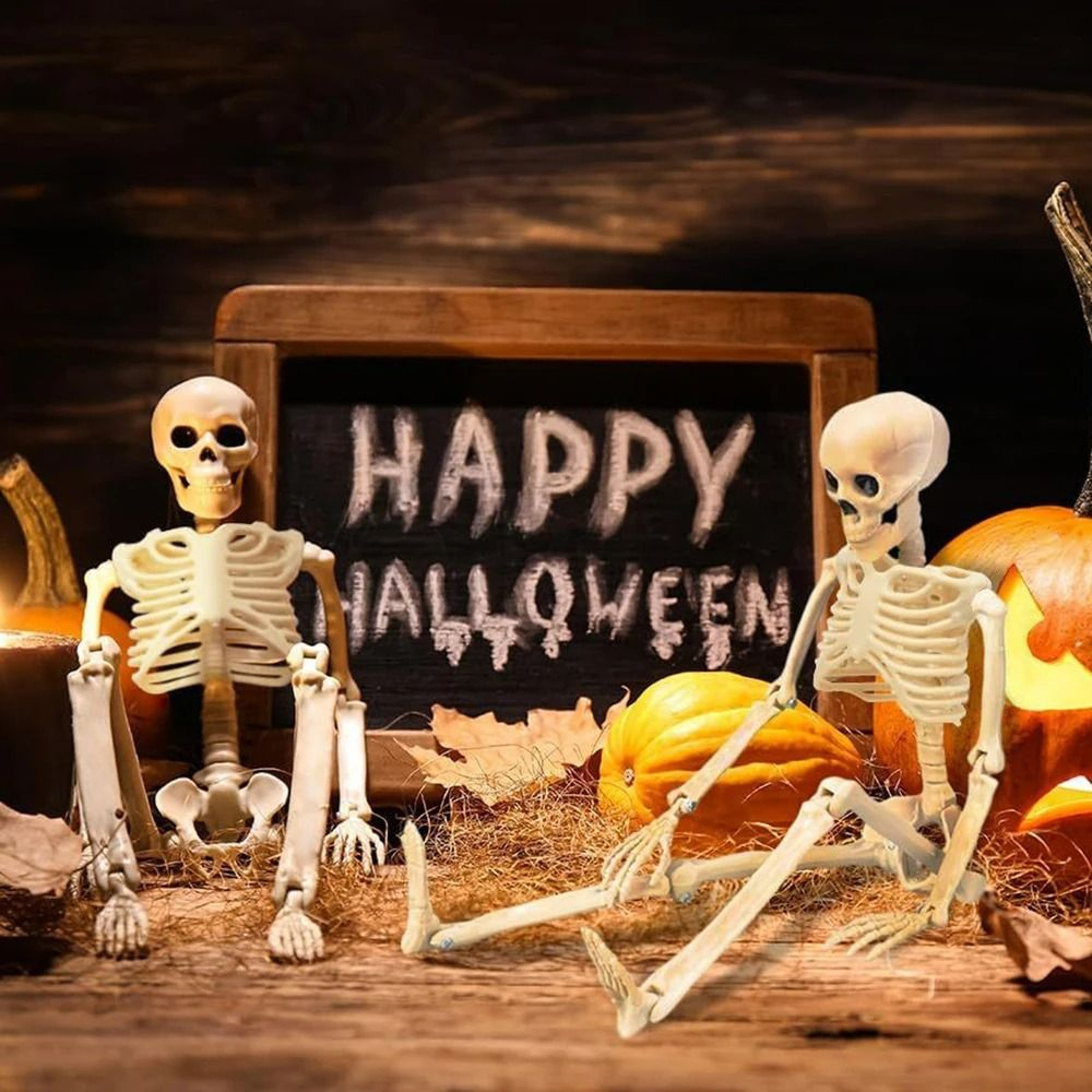 Full Body Posable Halloween Skeleton Prop 5