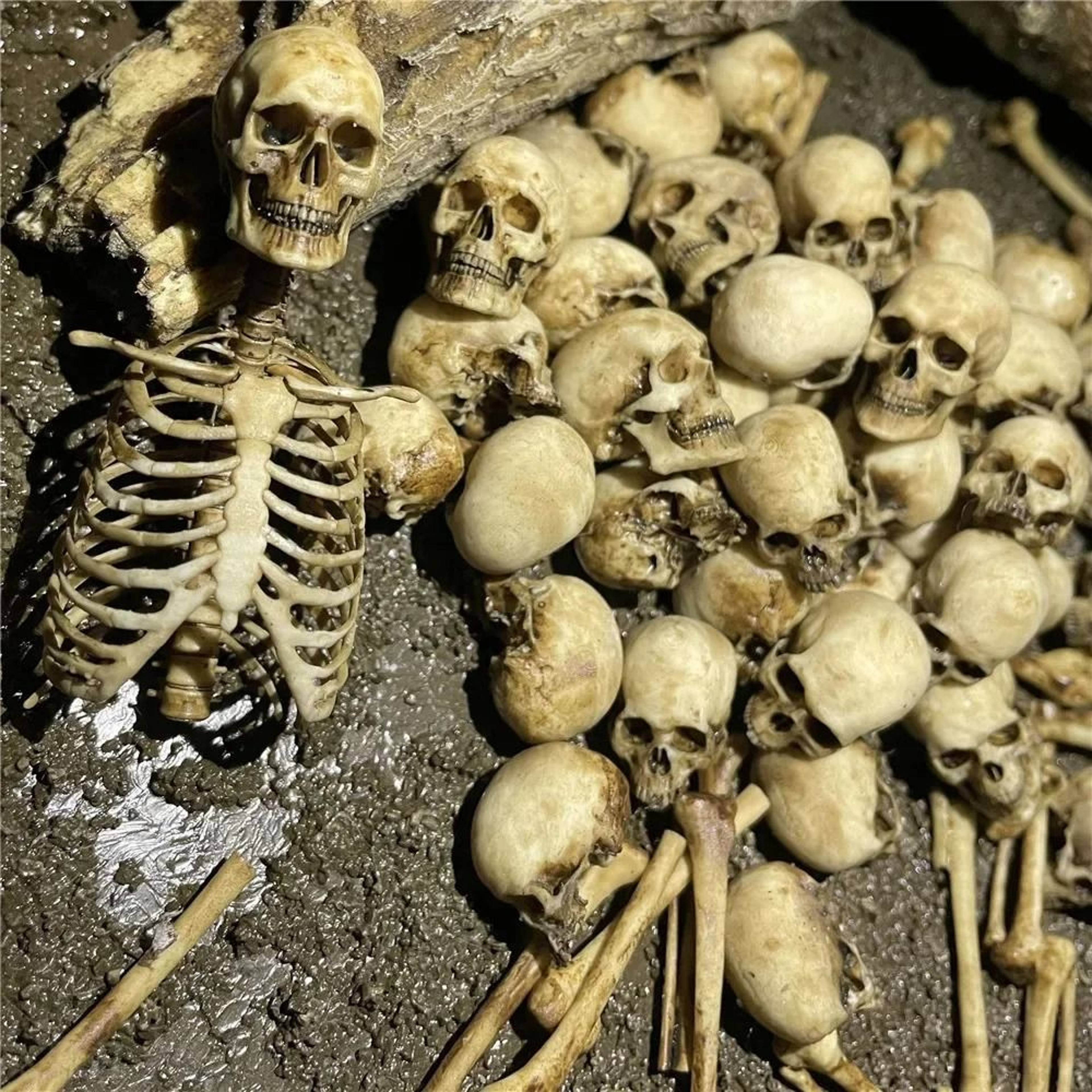 High Quality 1 12 Miniature Skeleton Skull Model 0