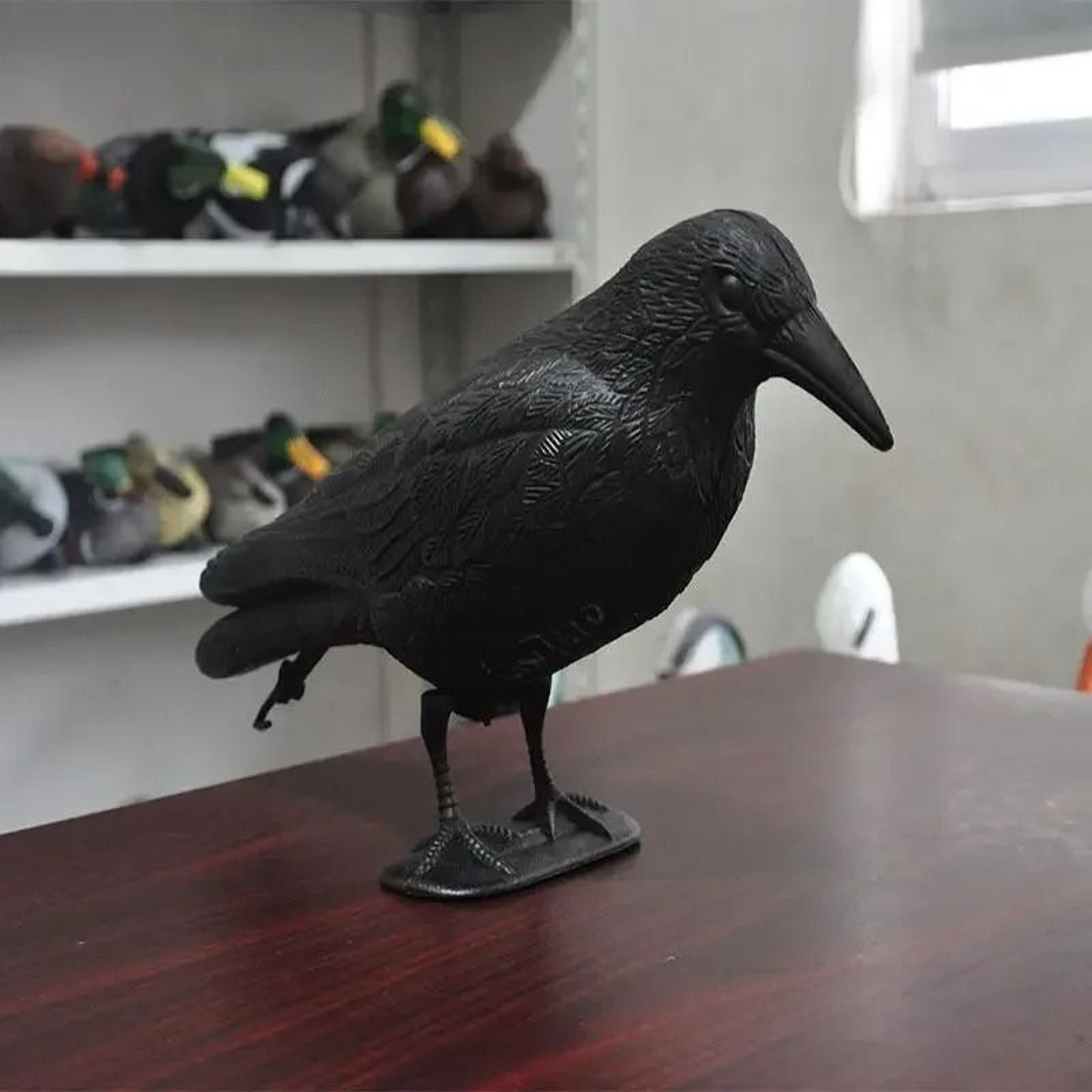 Simulated Black Crow Garden Statue  Deterrent 1