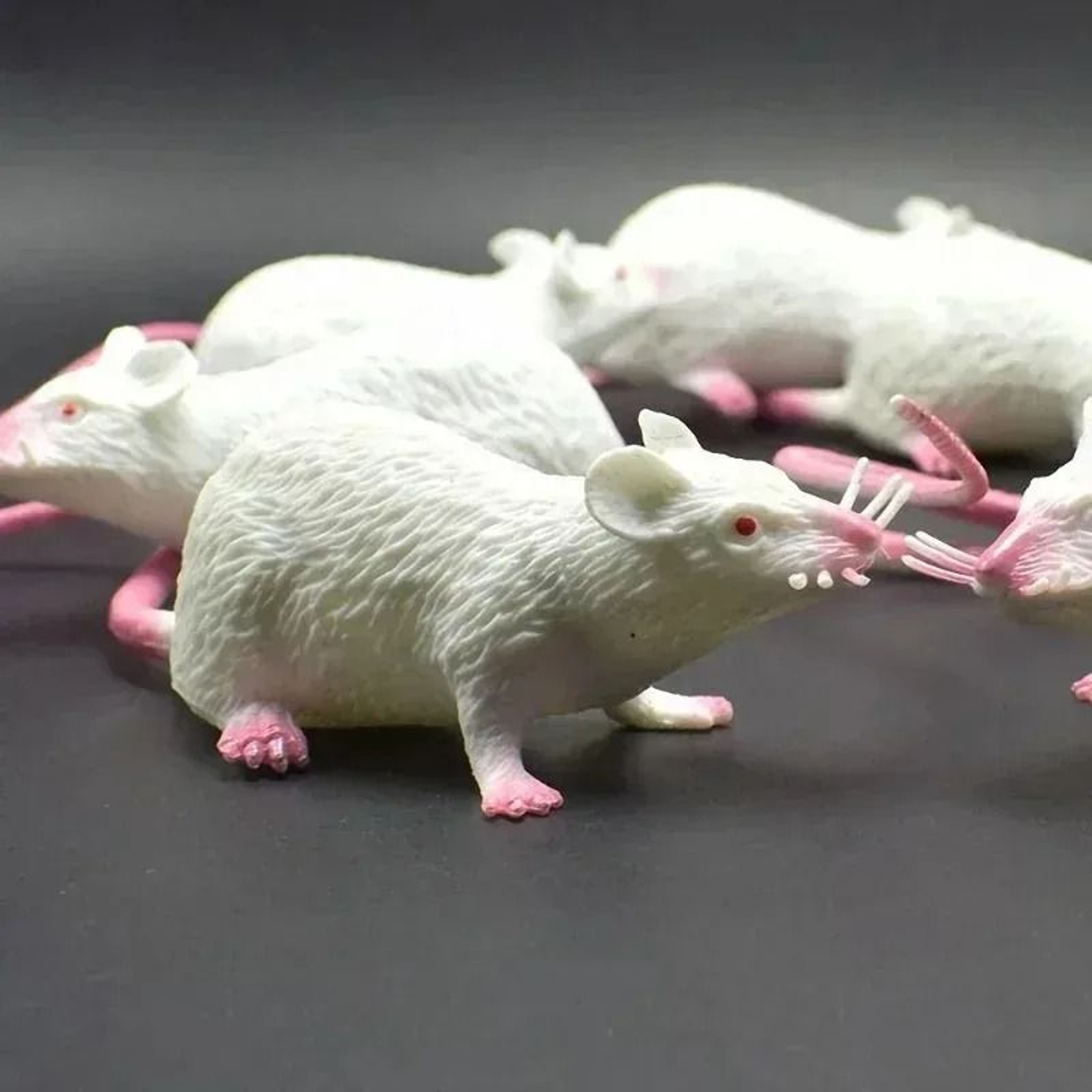 Realistic Simulation Toy Mouse Prank Prop 5