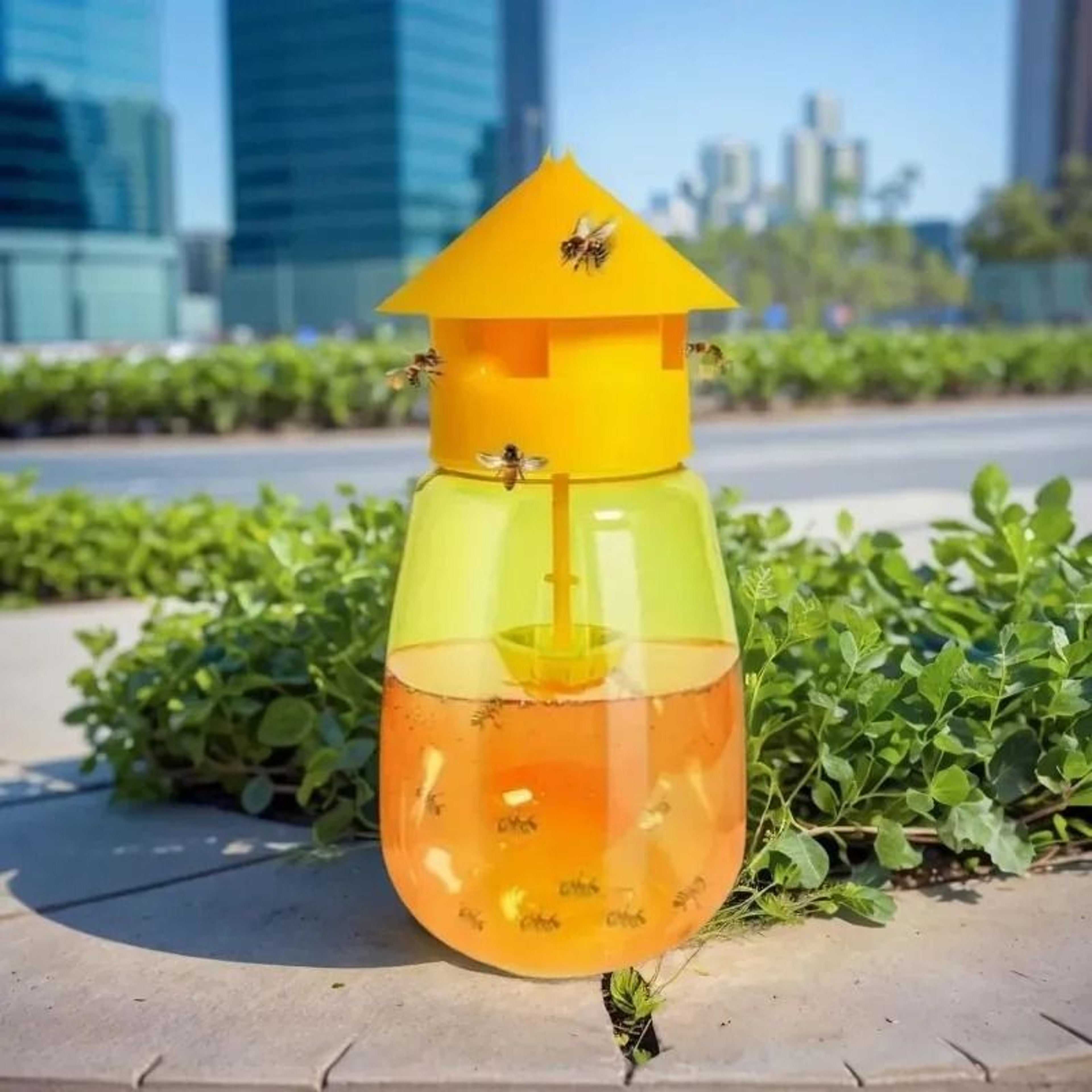 Liquid Fruit Fly Trap  Attractant Refill Kit 0