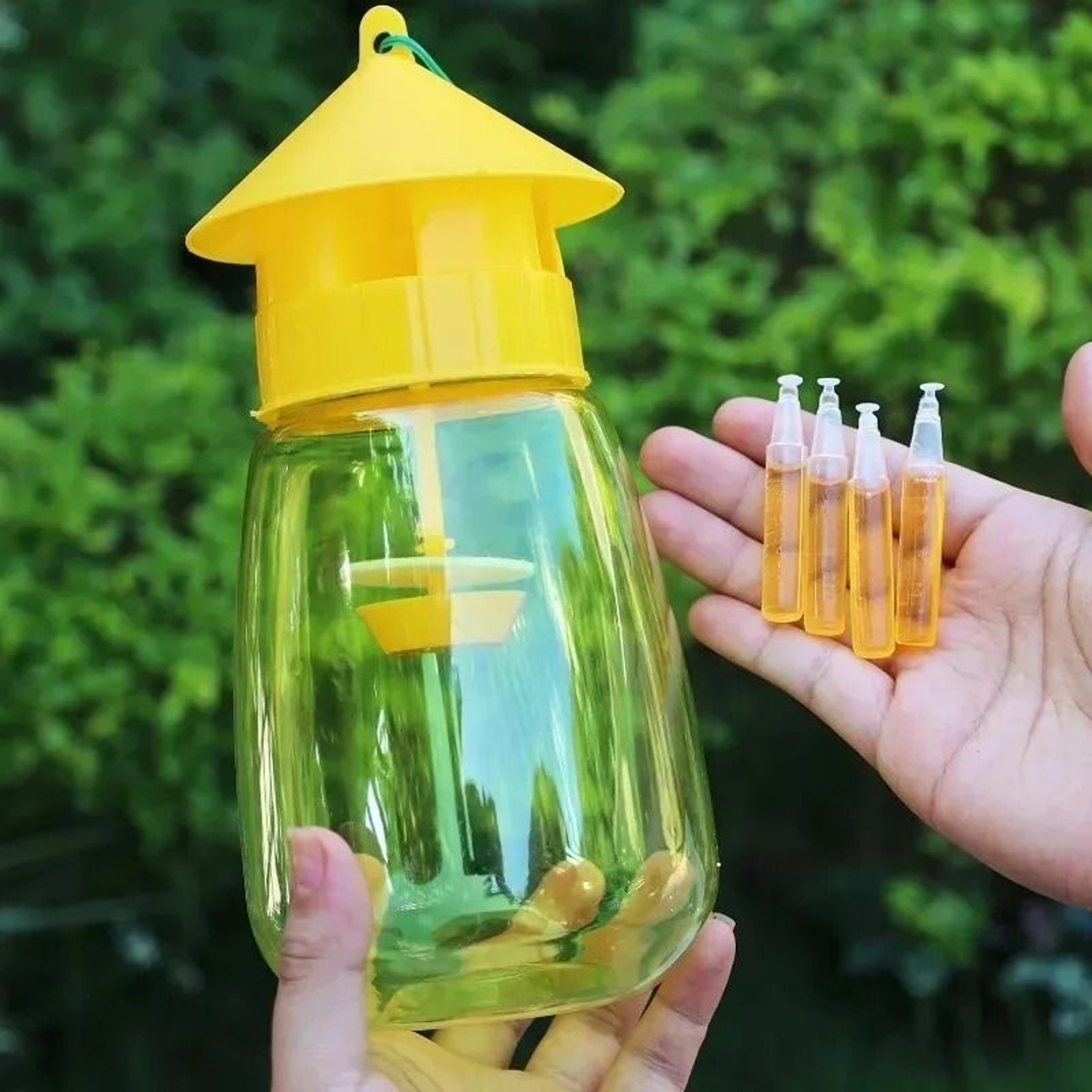 Liquid Fruit Fly Trap  Attractant Refill Kit 1
