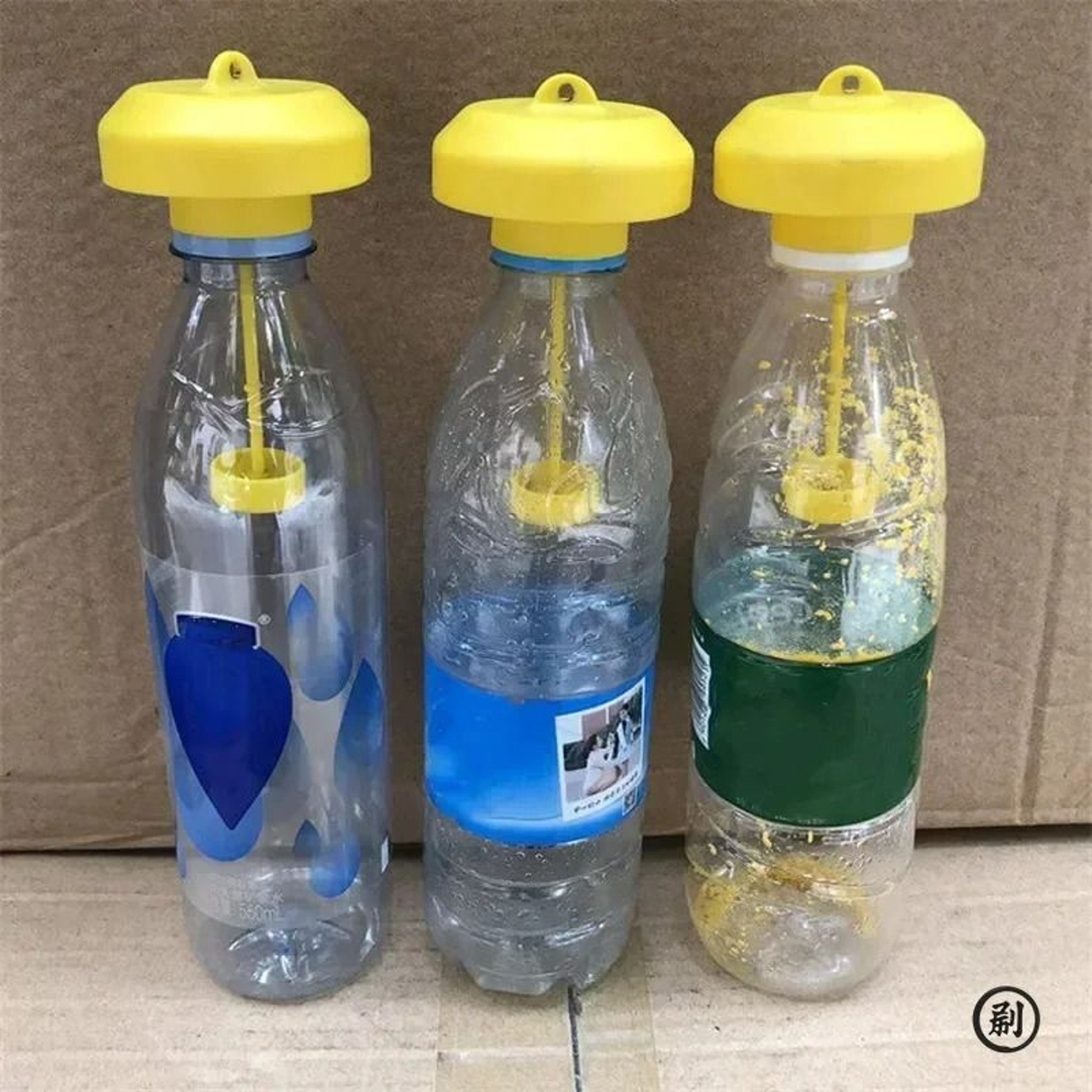 2Pack Plastic Fruit Fly Trap Catchers 1