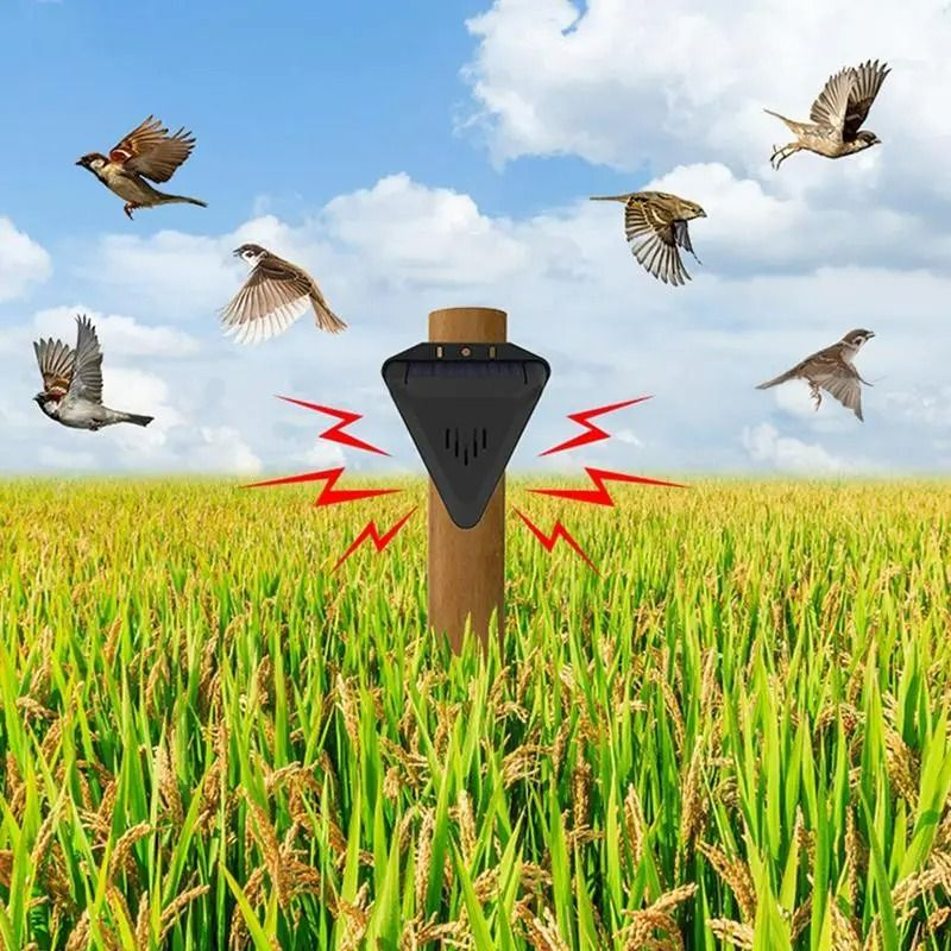 Solar Motion Animal  Bird Repeller With 13 Sound Modes 1