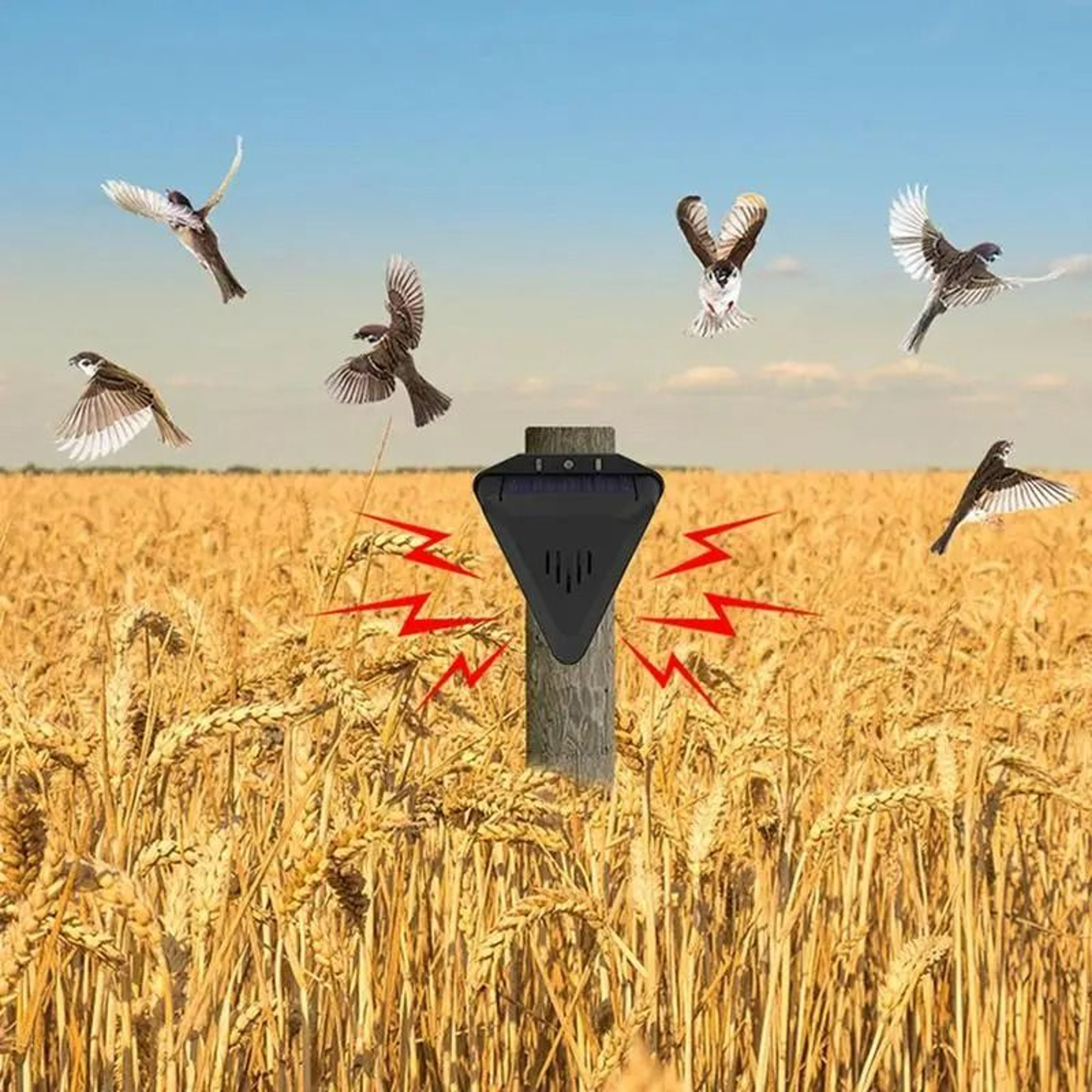 Solar Motion Animal  Bird Repeller With 13 Sound Modes 5