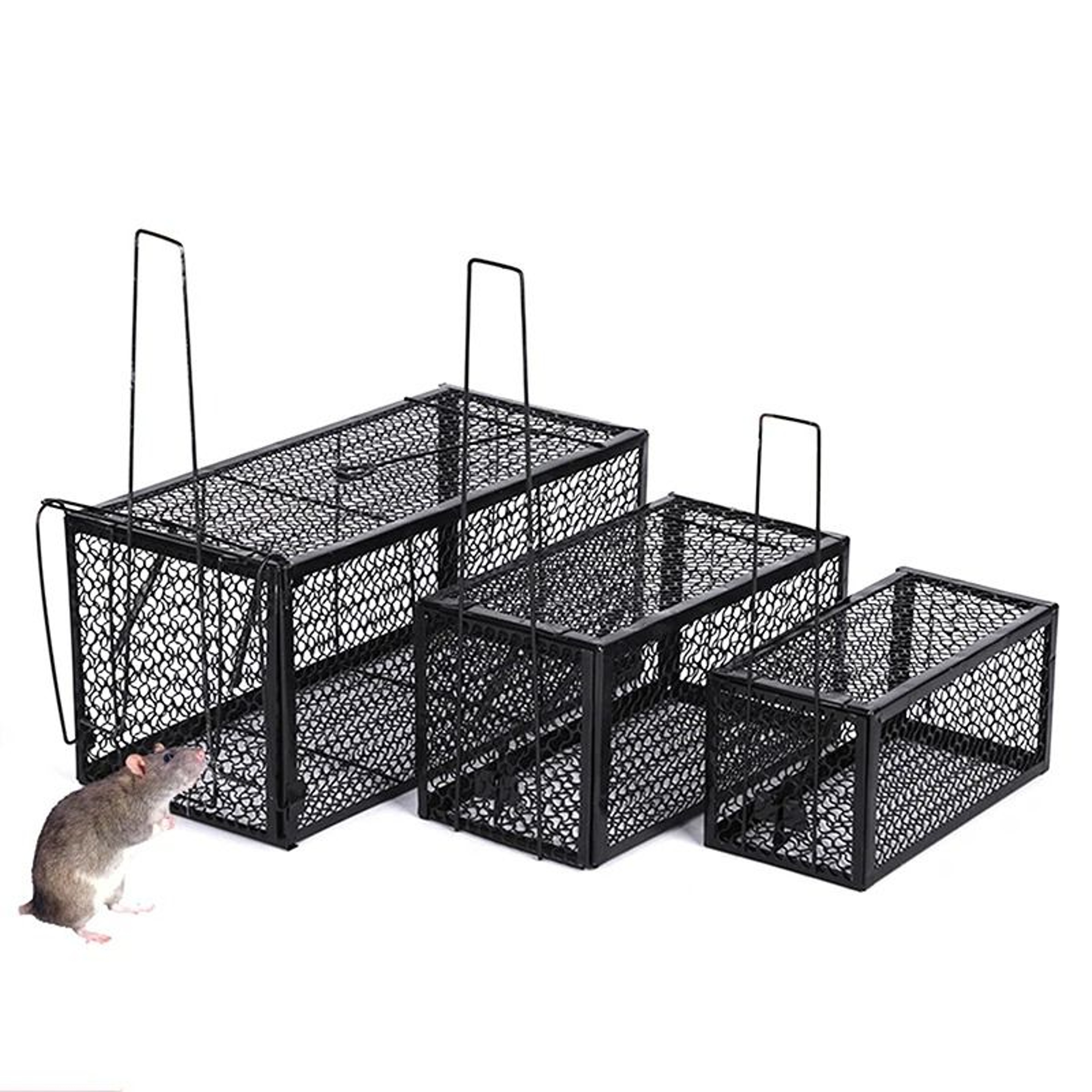 Humane Smart SelfLocking Metal Rat Trap Cage 0