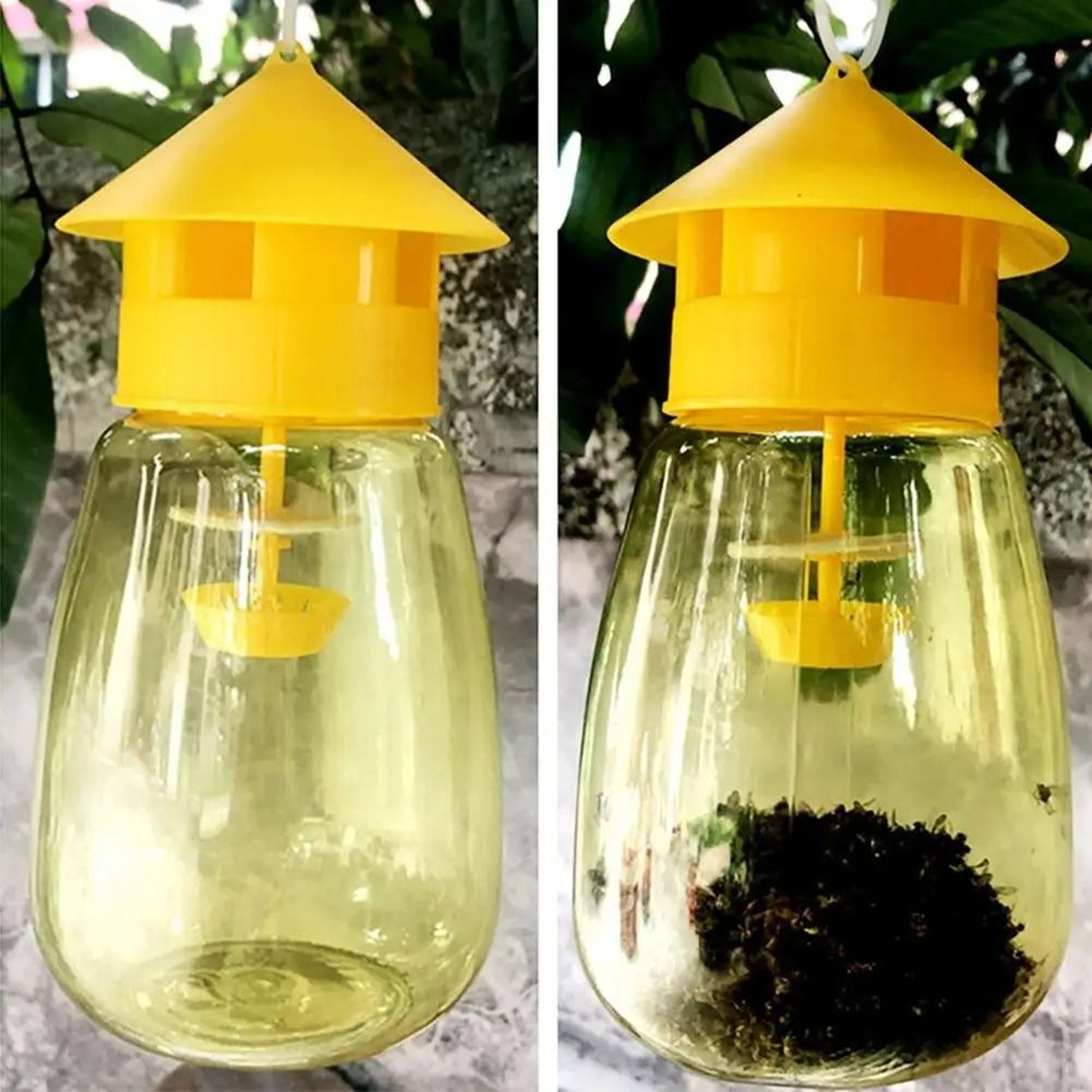 Yellow Plastic Orchard Fruit Fly Trap Catcher 0