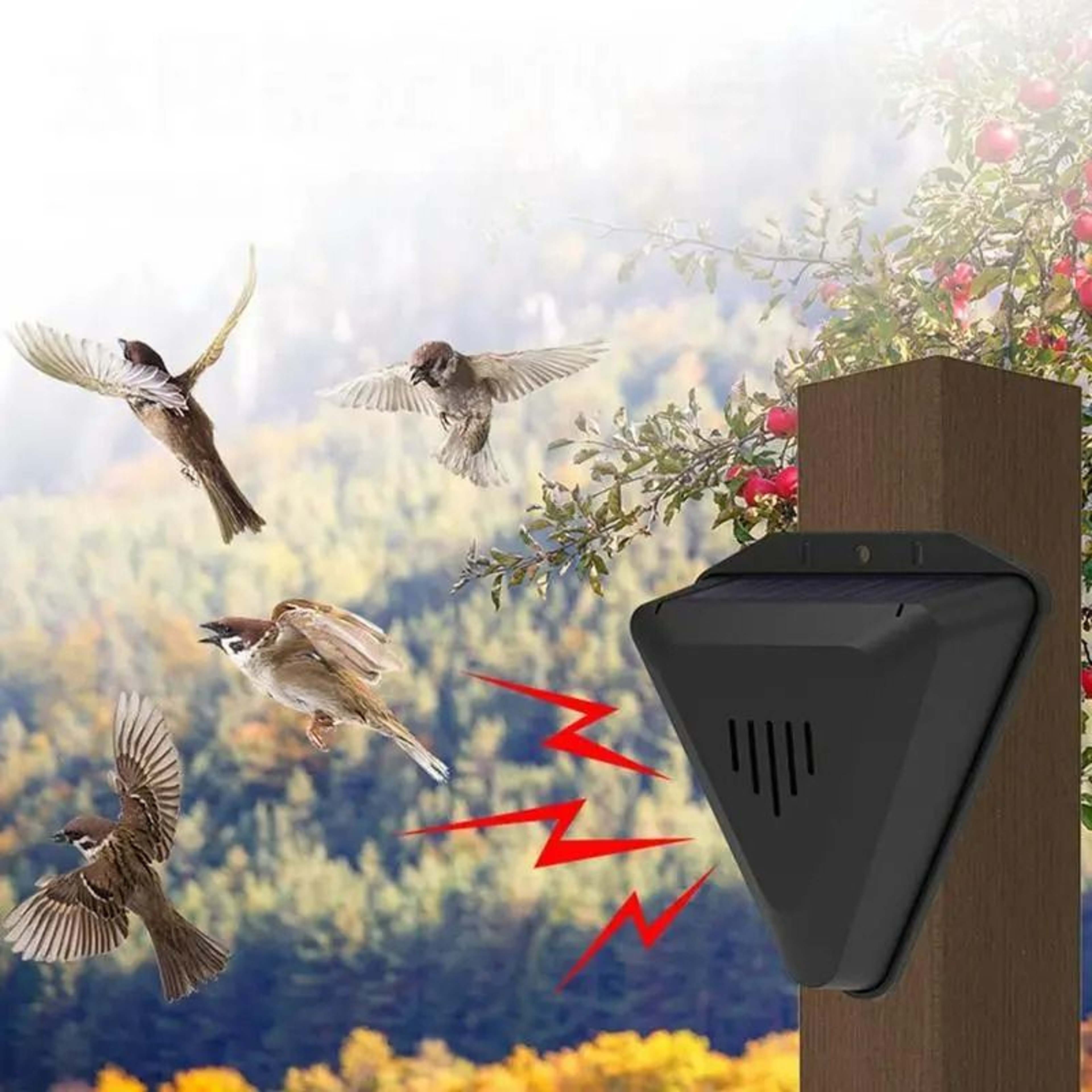 Solar Timer Outdoor Sound Bird Repeller  Alarm 0