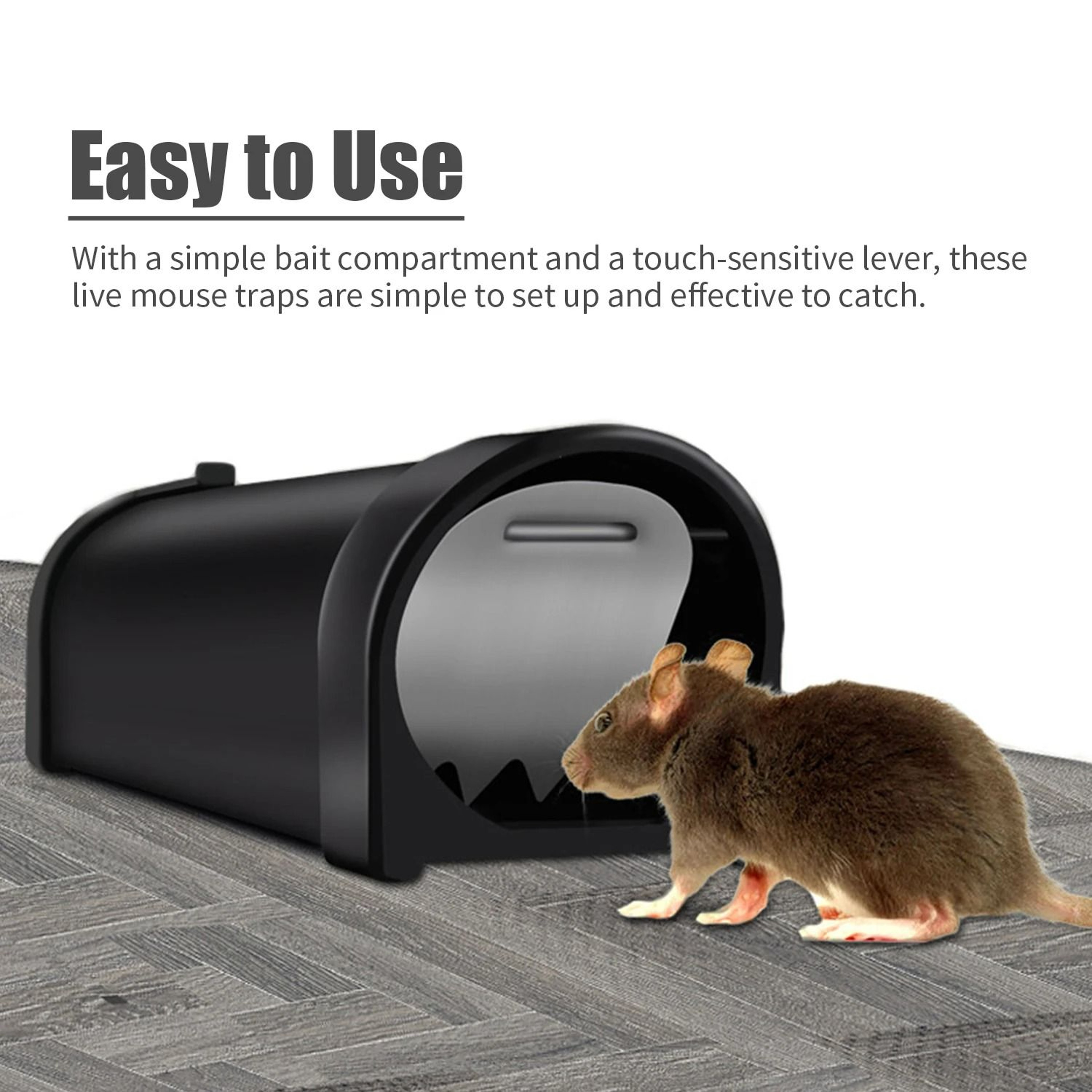 Humane CatchandRelease Mouse Trap Cage 2