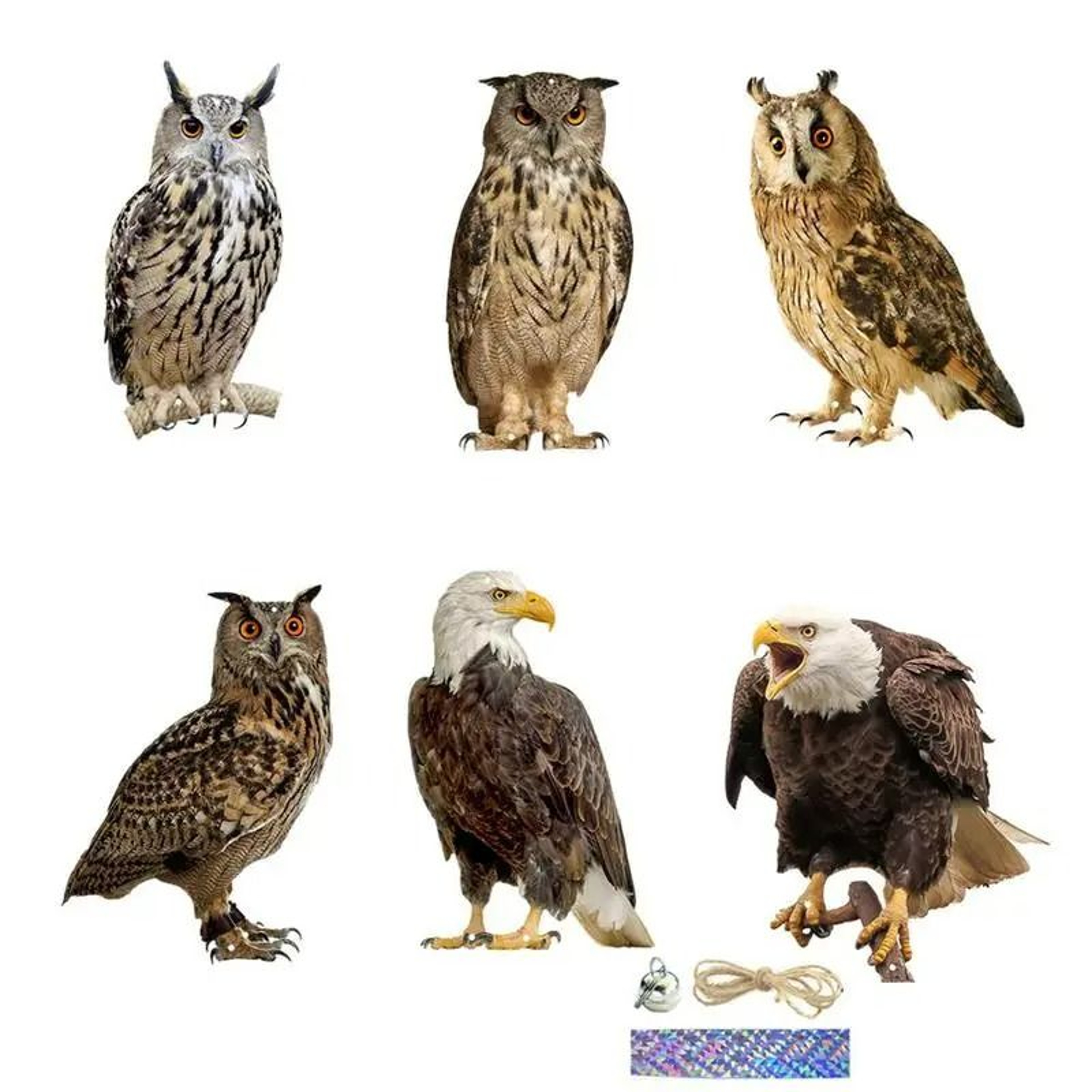 Flat Waterproof Realistic Owl Bird Repellent Scarecrow Device 3