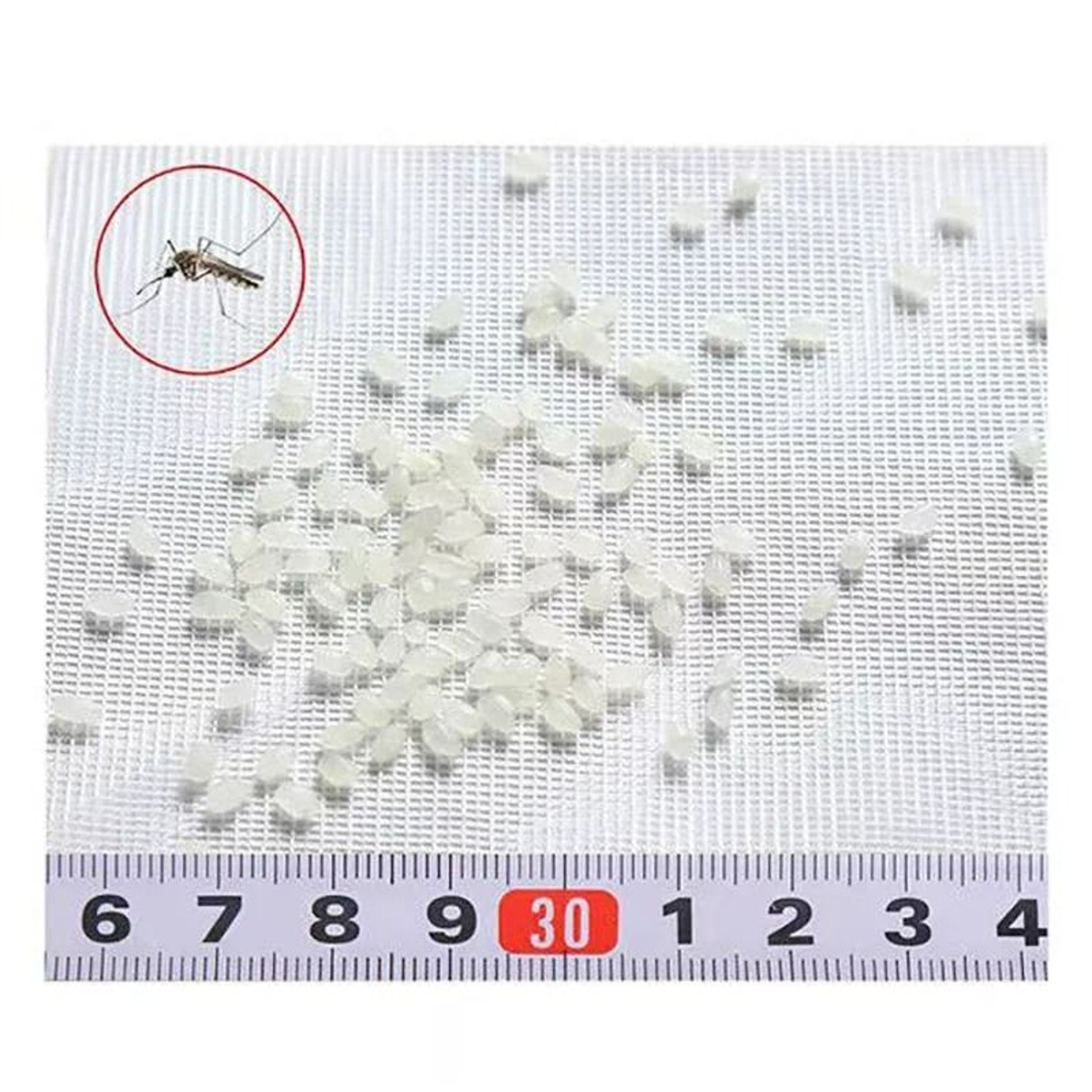 Upgraded Zipper Mesh Window Screen 5