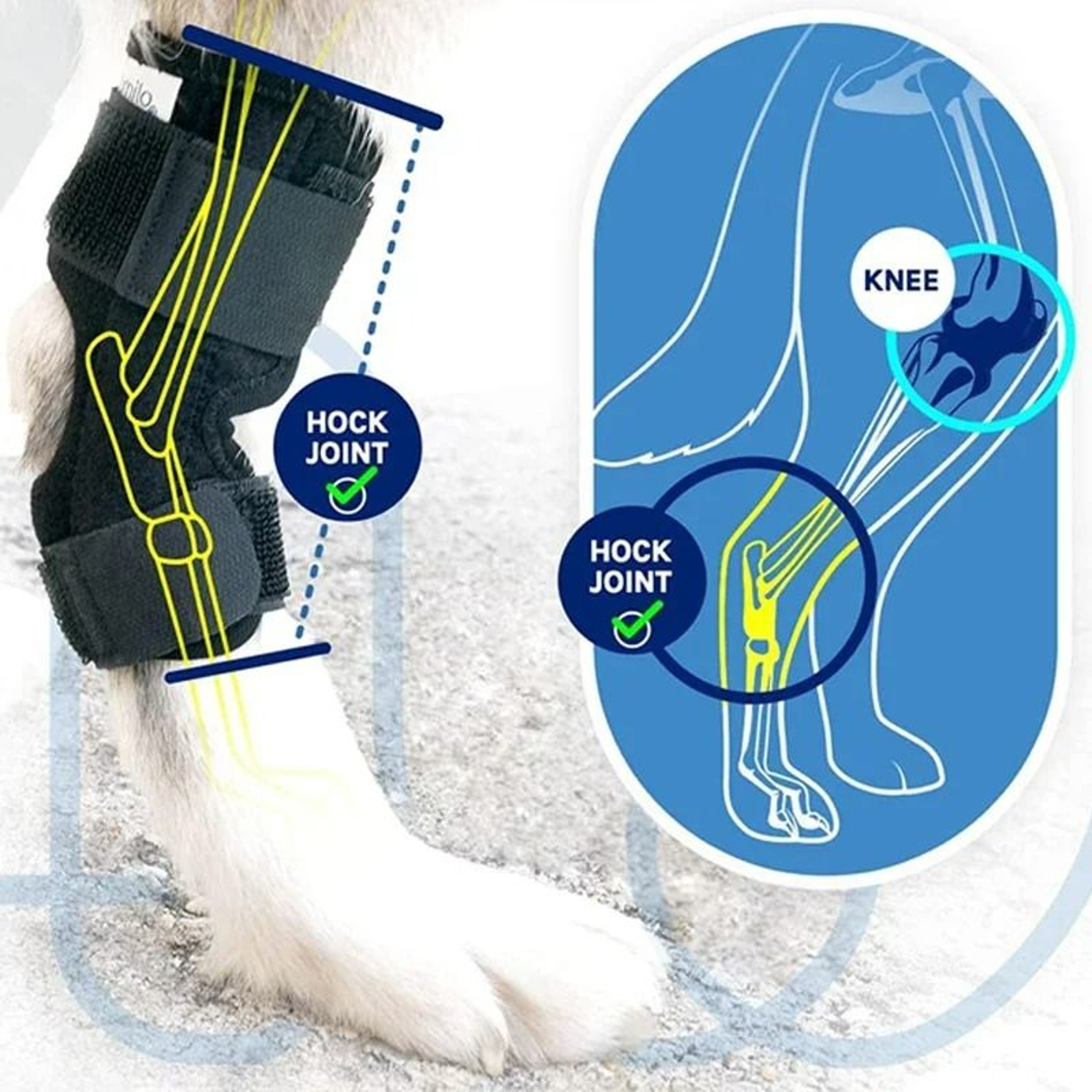 Dog Leg Hock Joint Wrap  Knee Support Pads 1 Pair 0