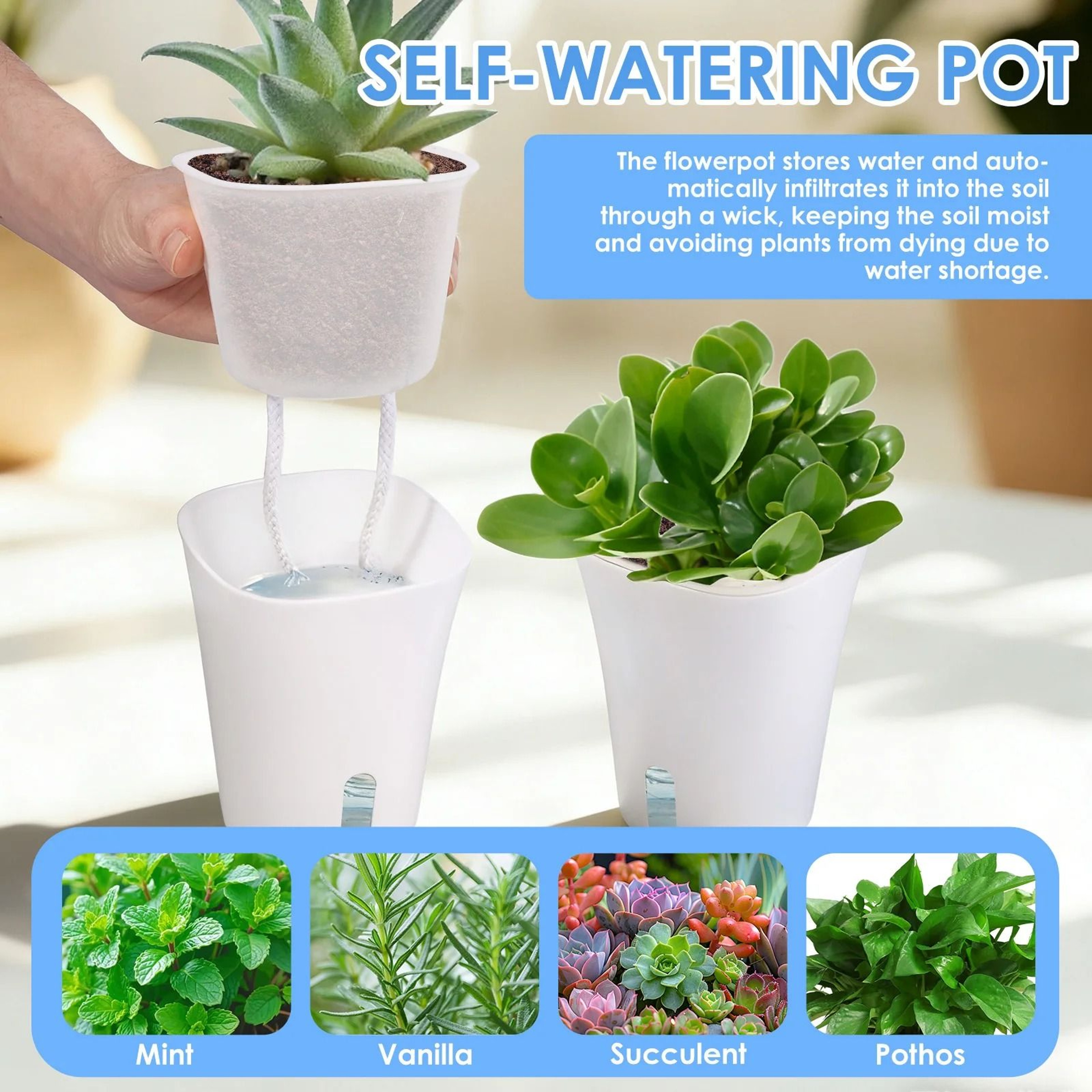 10Piece SelfWatering Hydroponic Planter Set 2