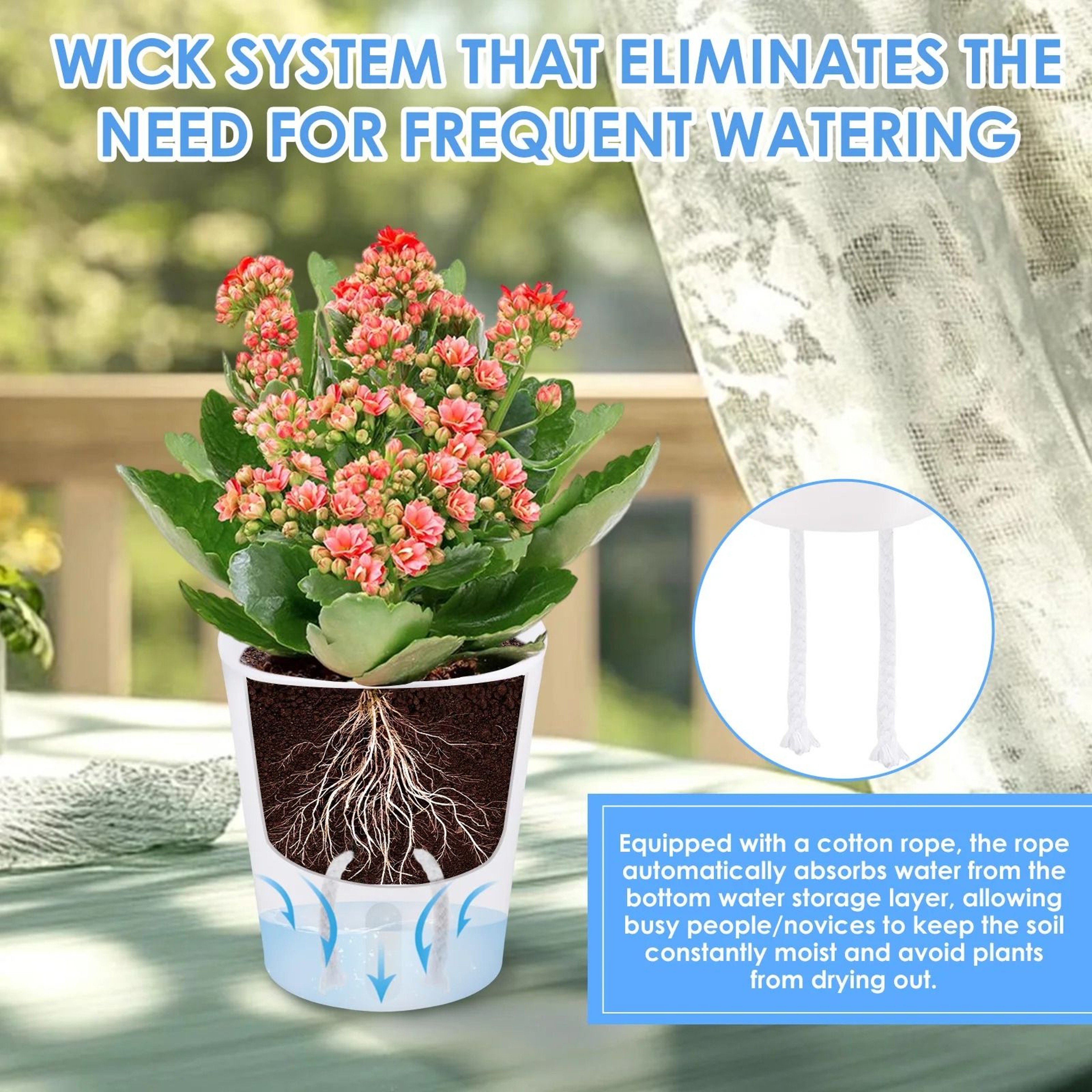 10Piece SelfWatering Hydroponic Planter Set 4
