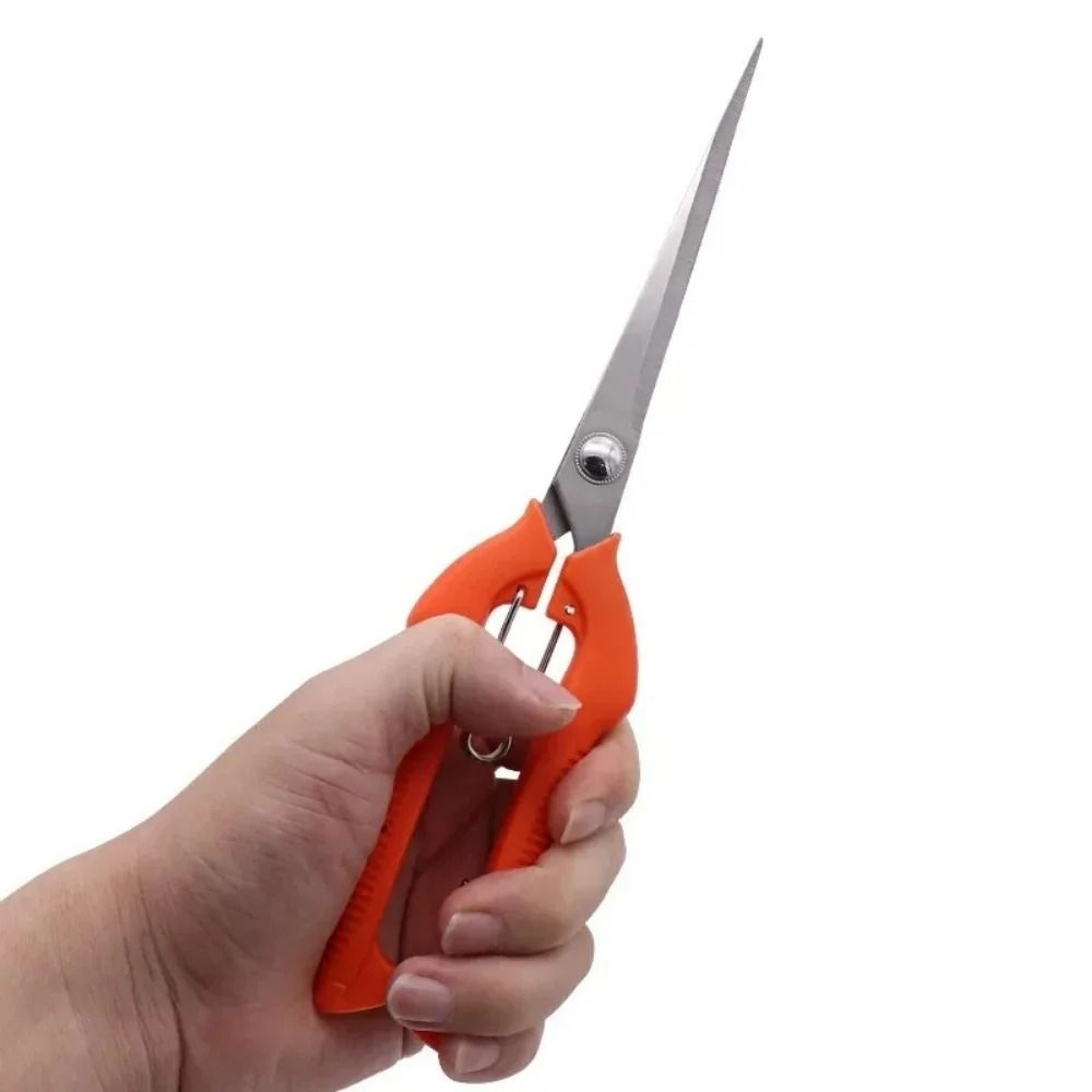 Stainless Steel Garden Pruning Shears Portable Fruit Picking Scissors 1