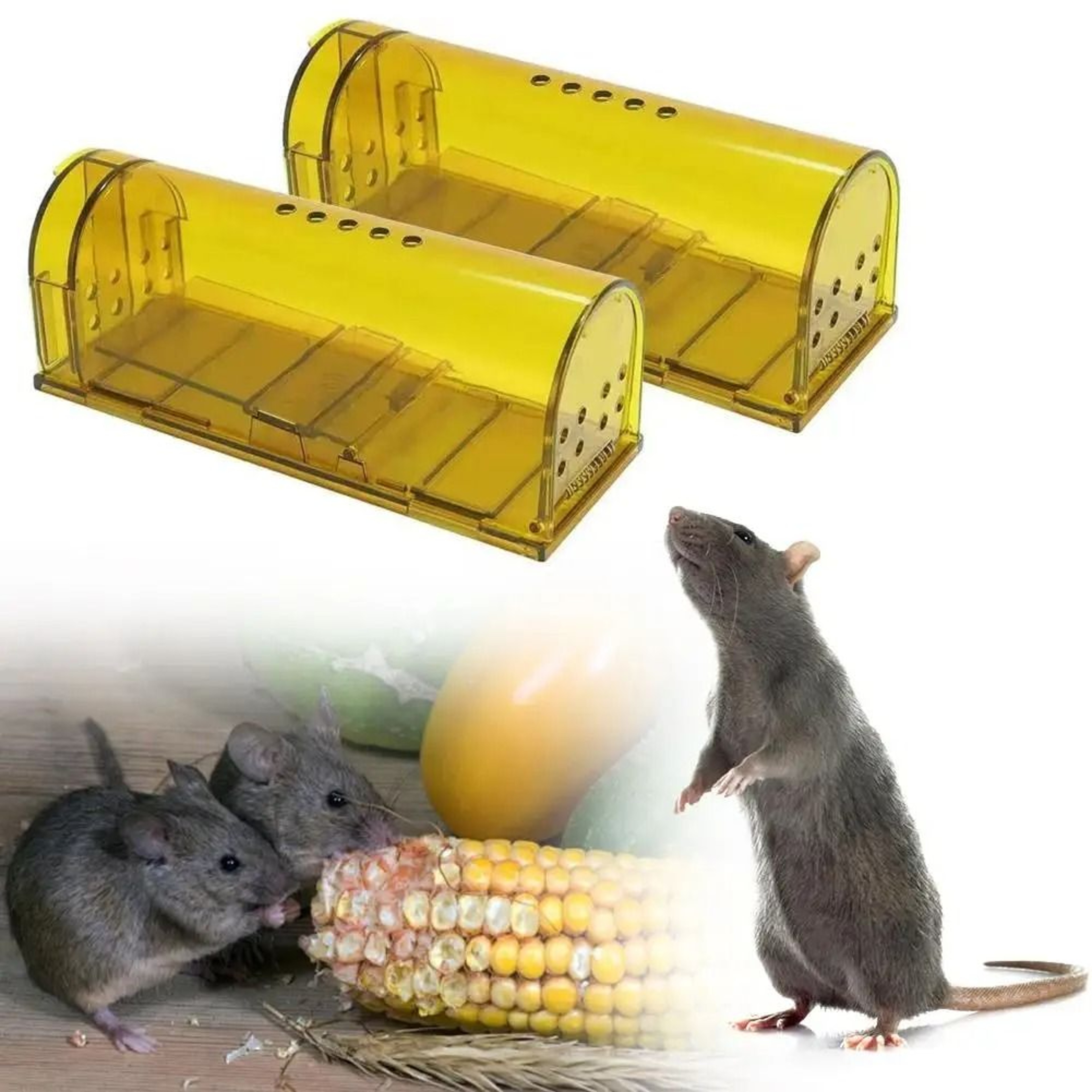 Humane Smart SelfLocking Mousetrap Live Catch Control Cage 1
