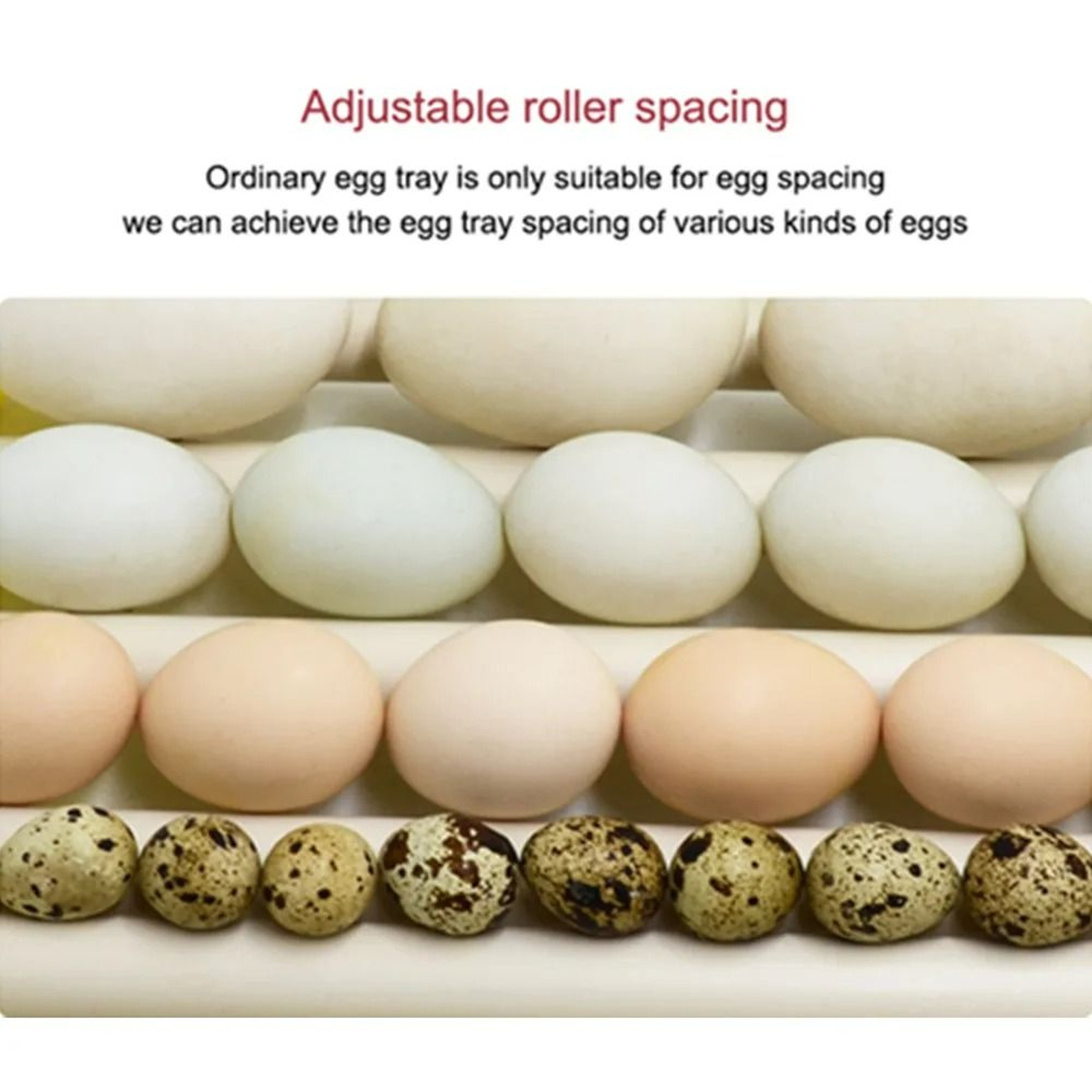 Automatic 360Degree Rotating Egg Incubator Turner Tray 5