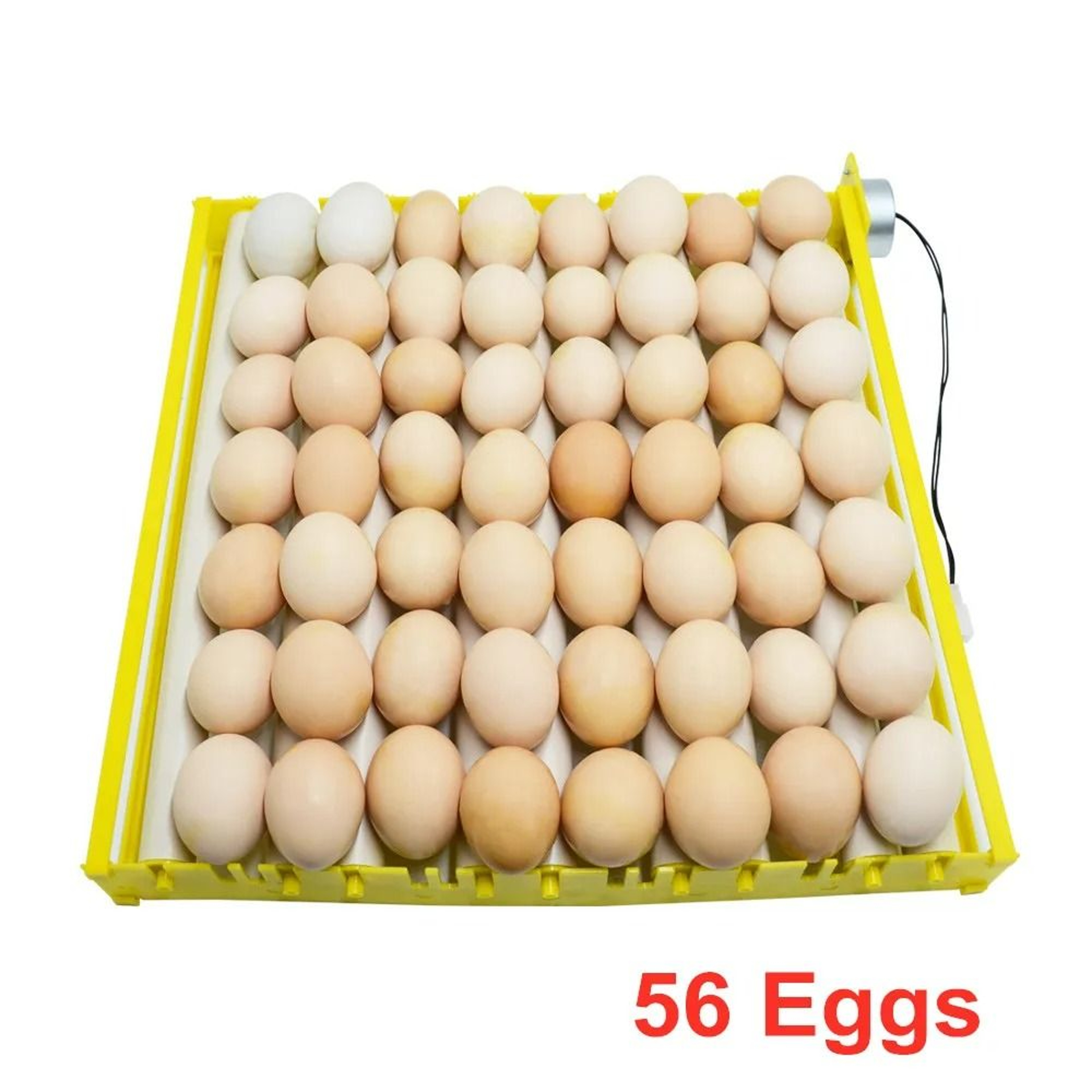 Automatic 360Degree Rotating Egg Incubator Turner Tray 8