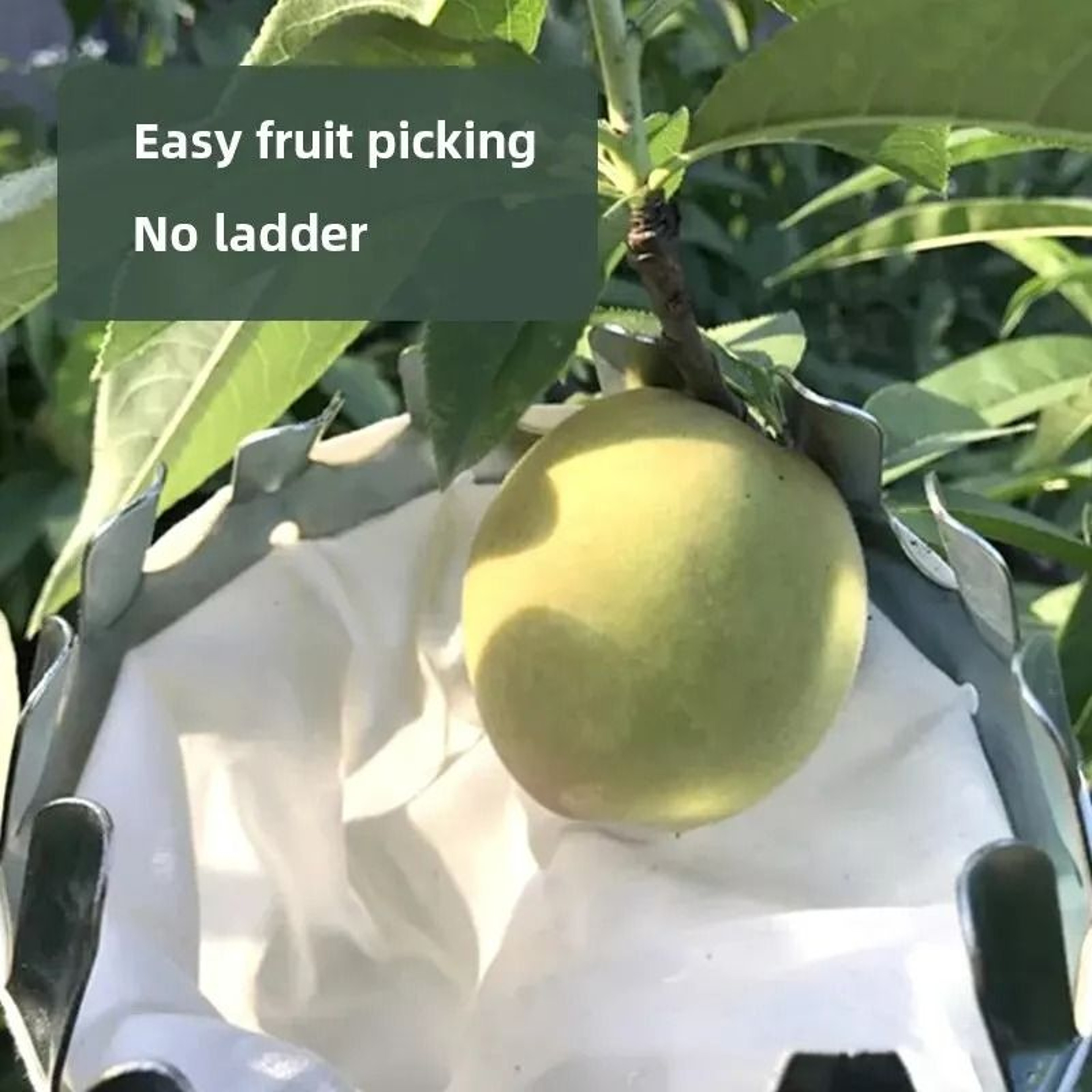 Metal Fruit Picker Basket Head  Tree Harvester Attachment 4