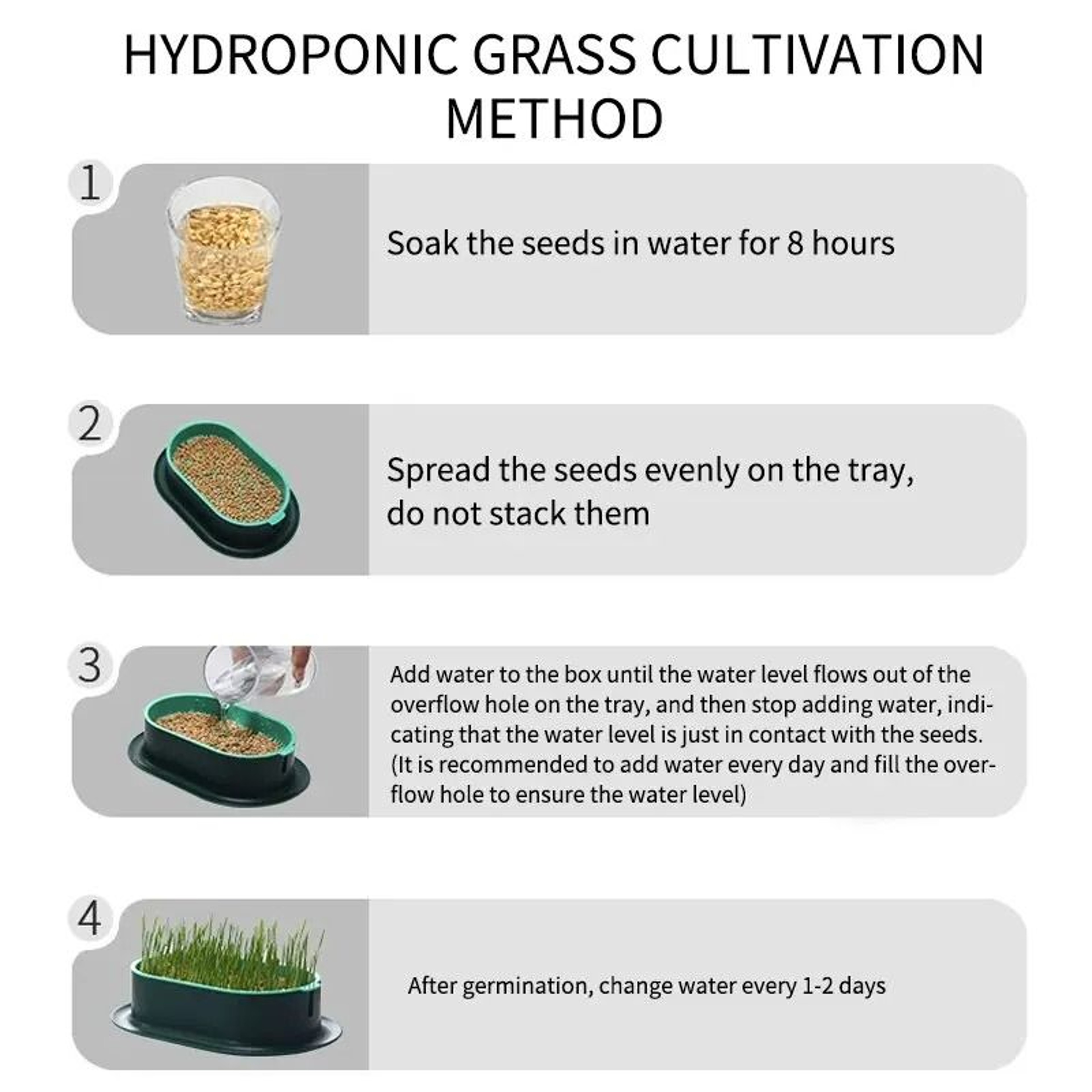 Hydroponic Cat Grass Sprout Starter Planter Tray 4