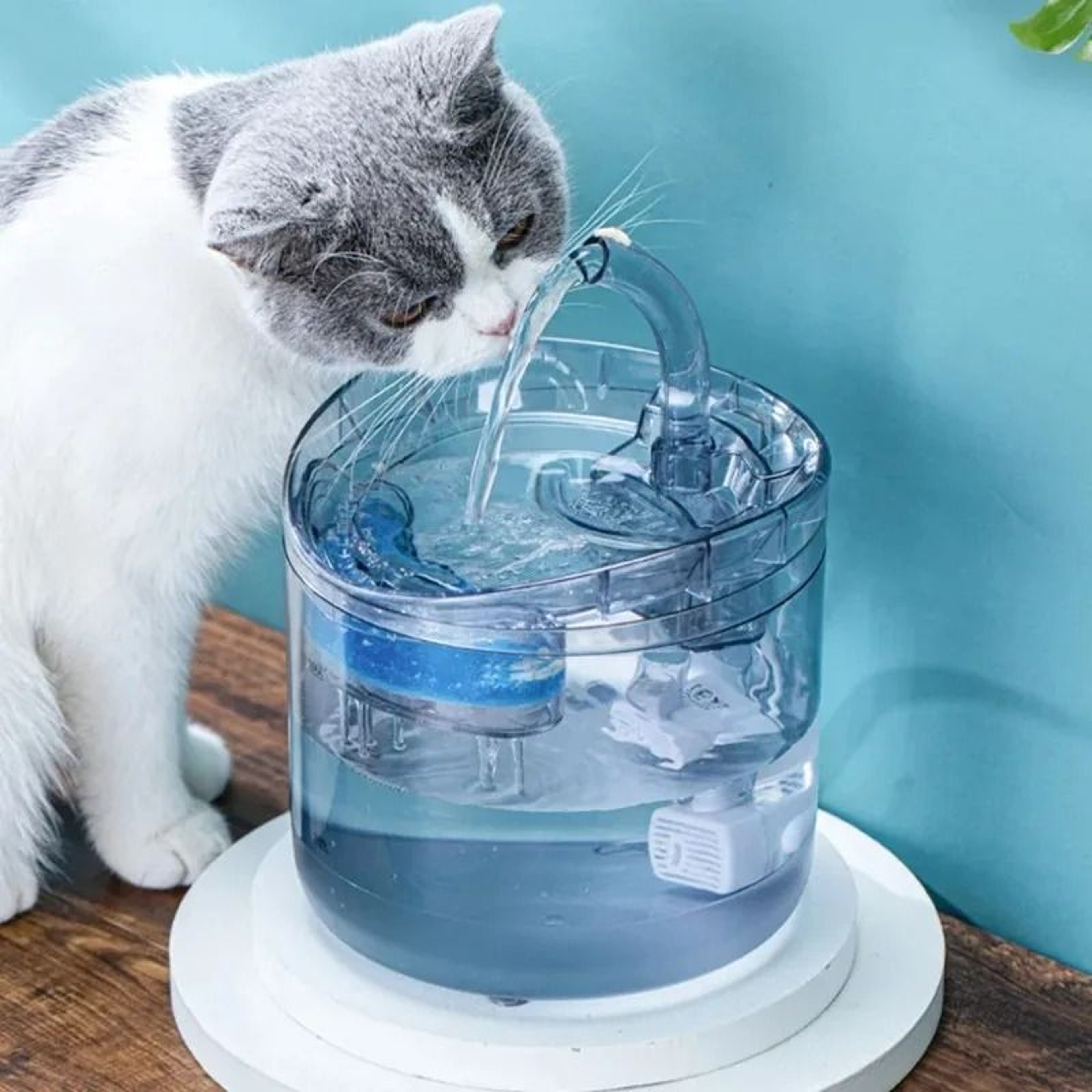 Automatic Smart Quiet Tilted Cat Water Fountain 0