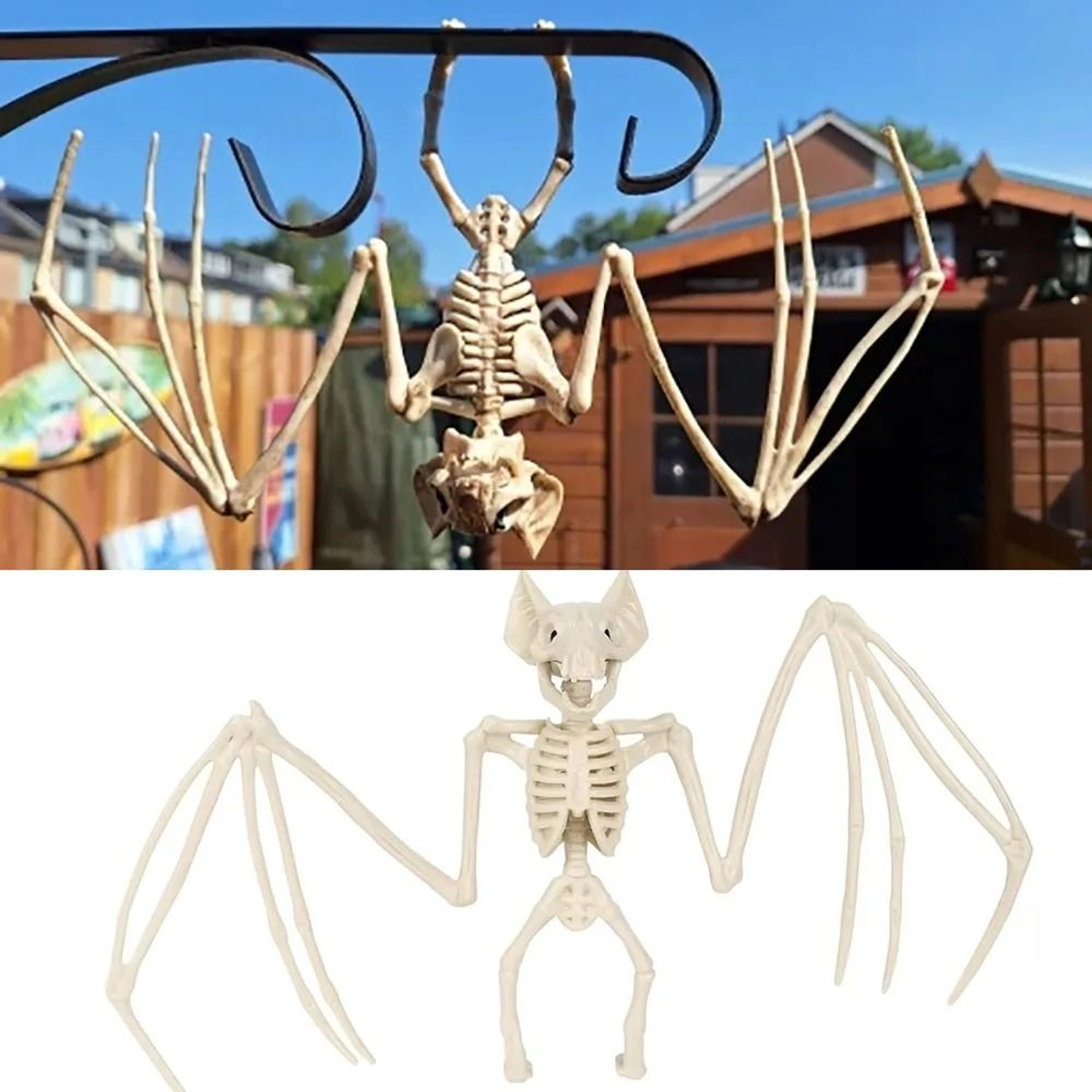 Creepy Bat Skeleton Model  Halloween Animal Bones Prop 4