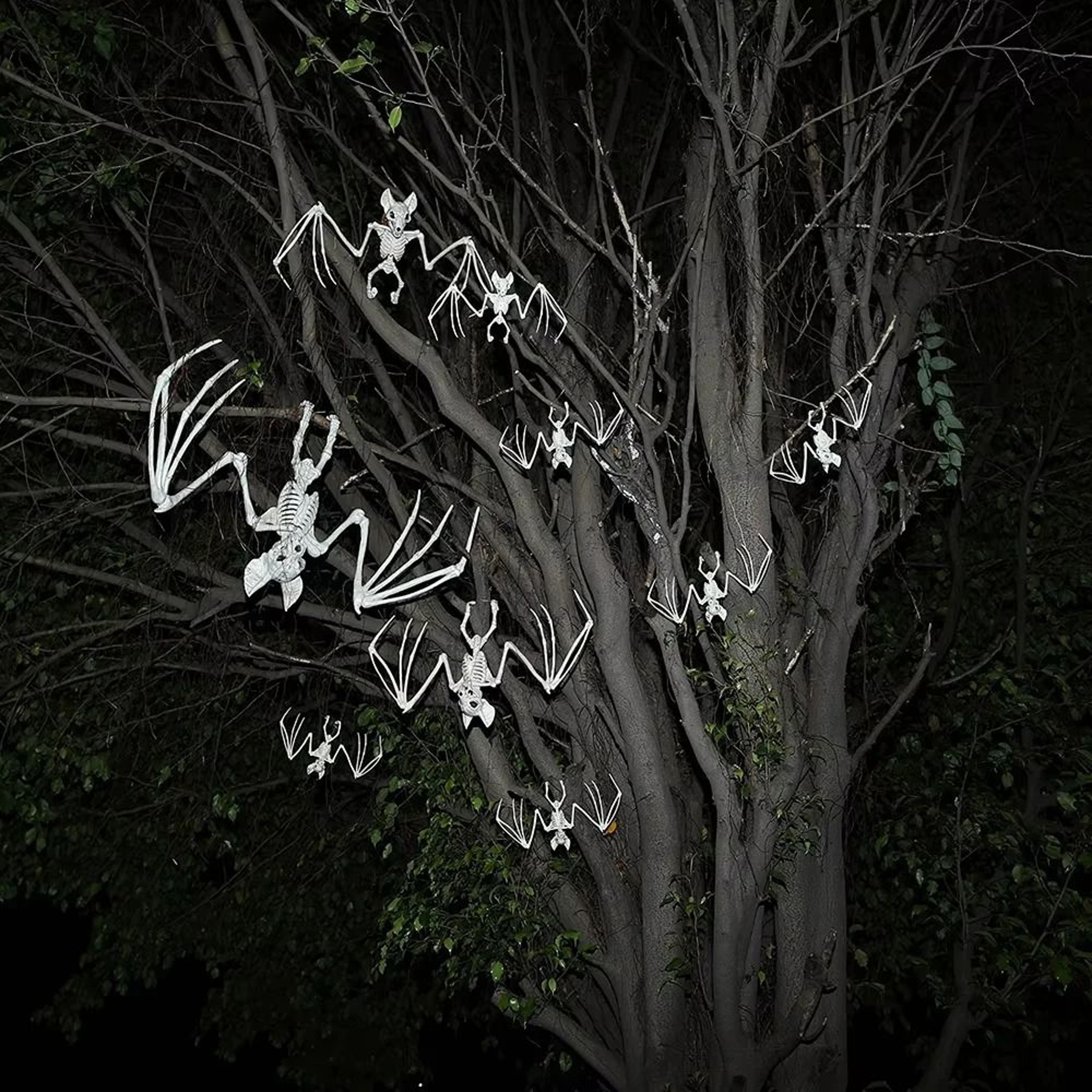 Creepy Bat Skeleton Model  Halloween Animal Bones Prop 2