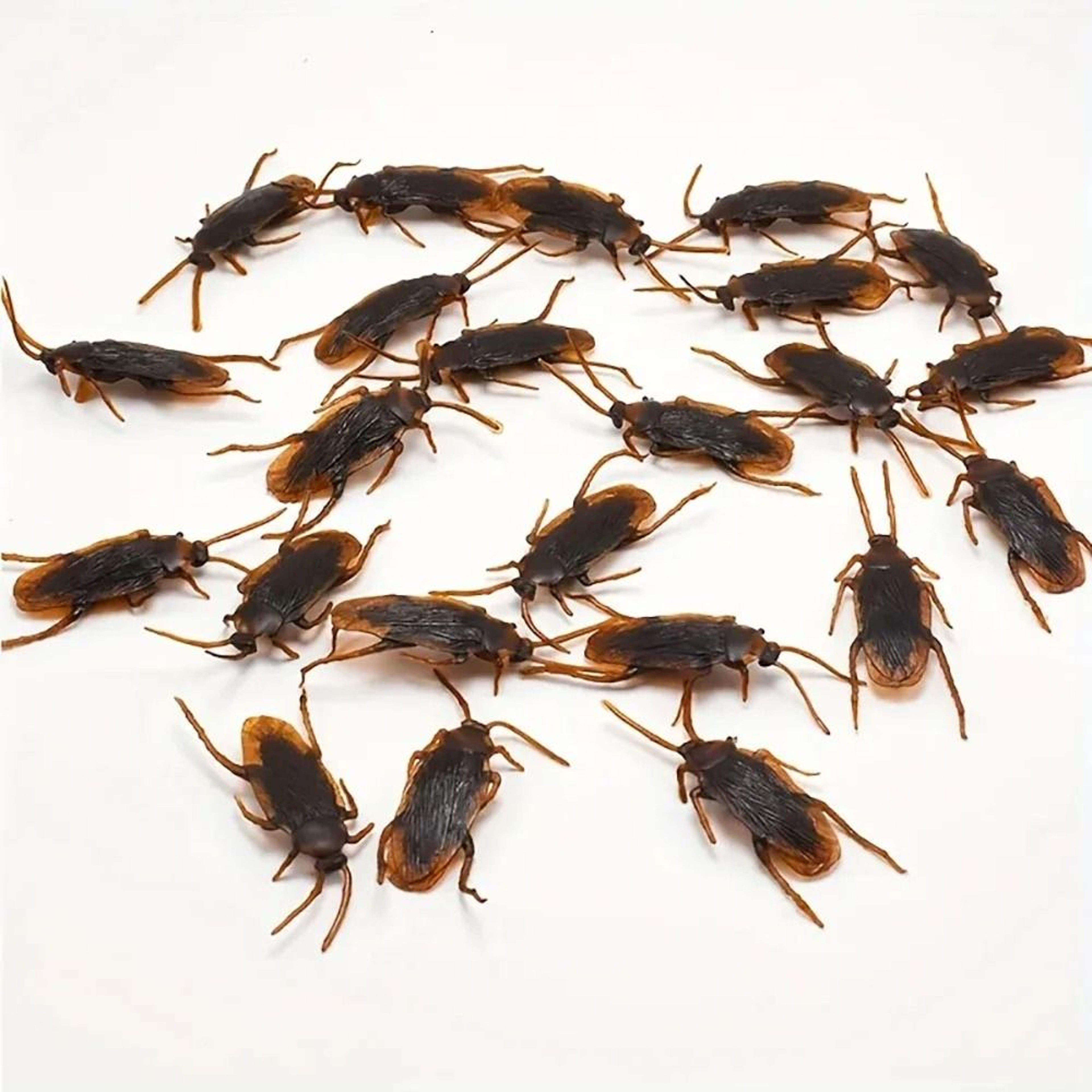 12Piece Realistic Fake Plastic Cockroach Prank Props 6