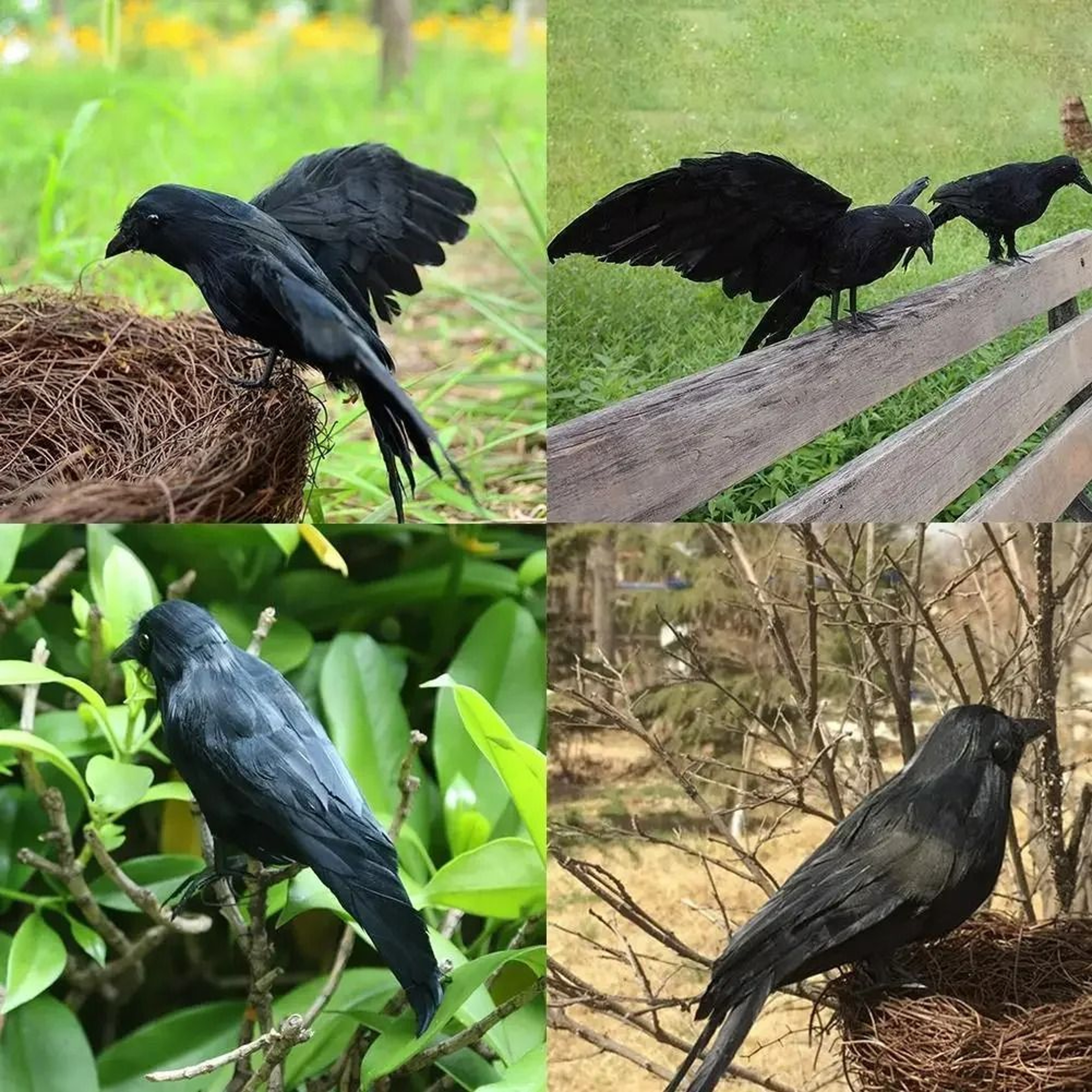 Lifelike Feathered Black Raven  Crow Prop 3