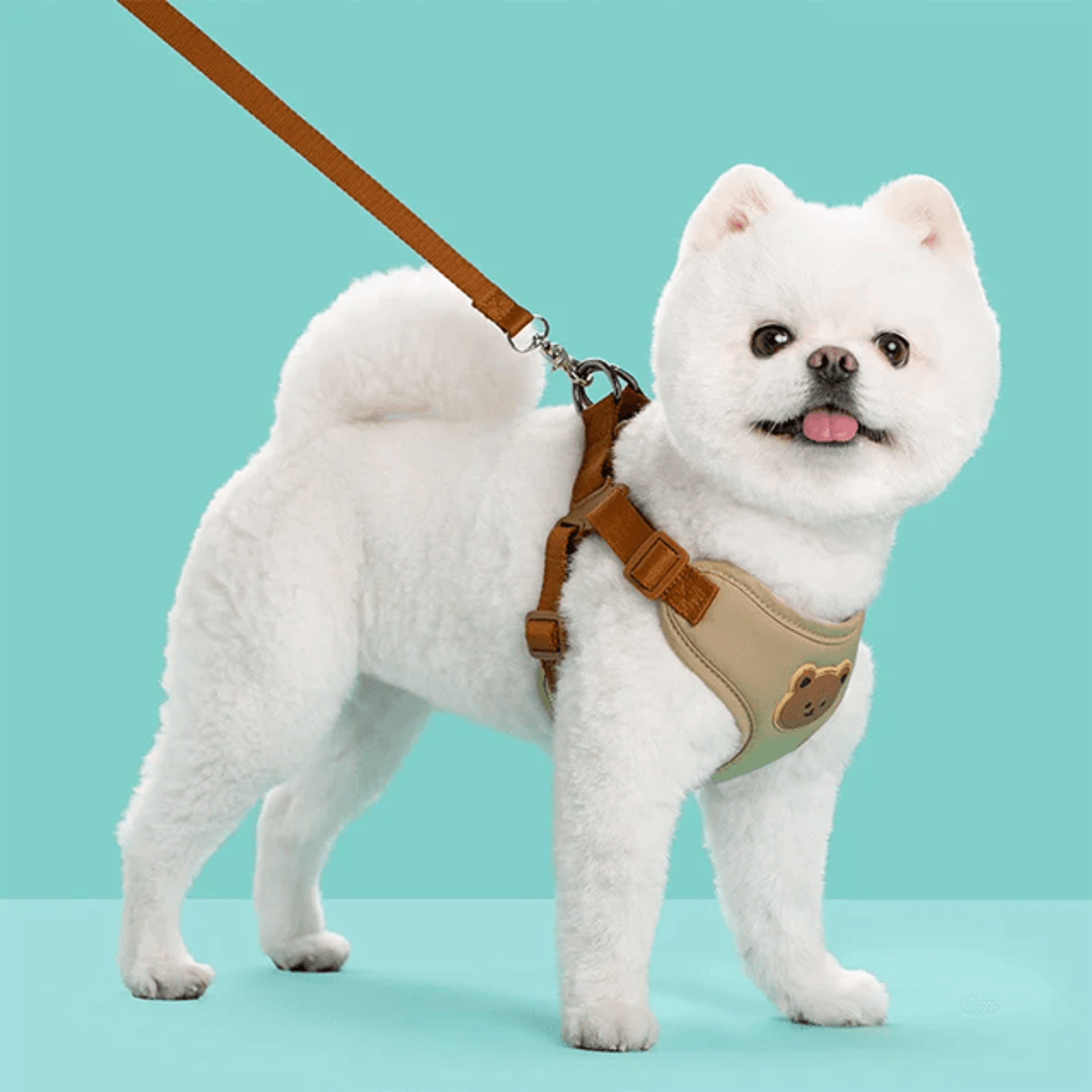 PawEase Breathable Dog Harness And Leash Set 0