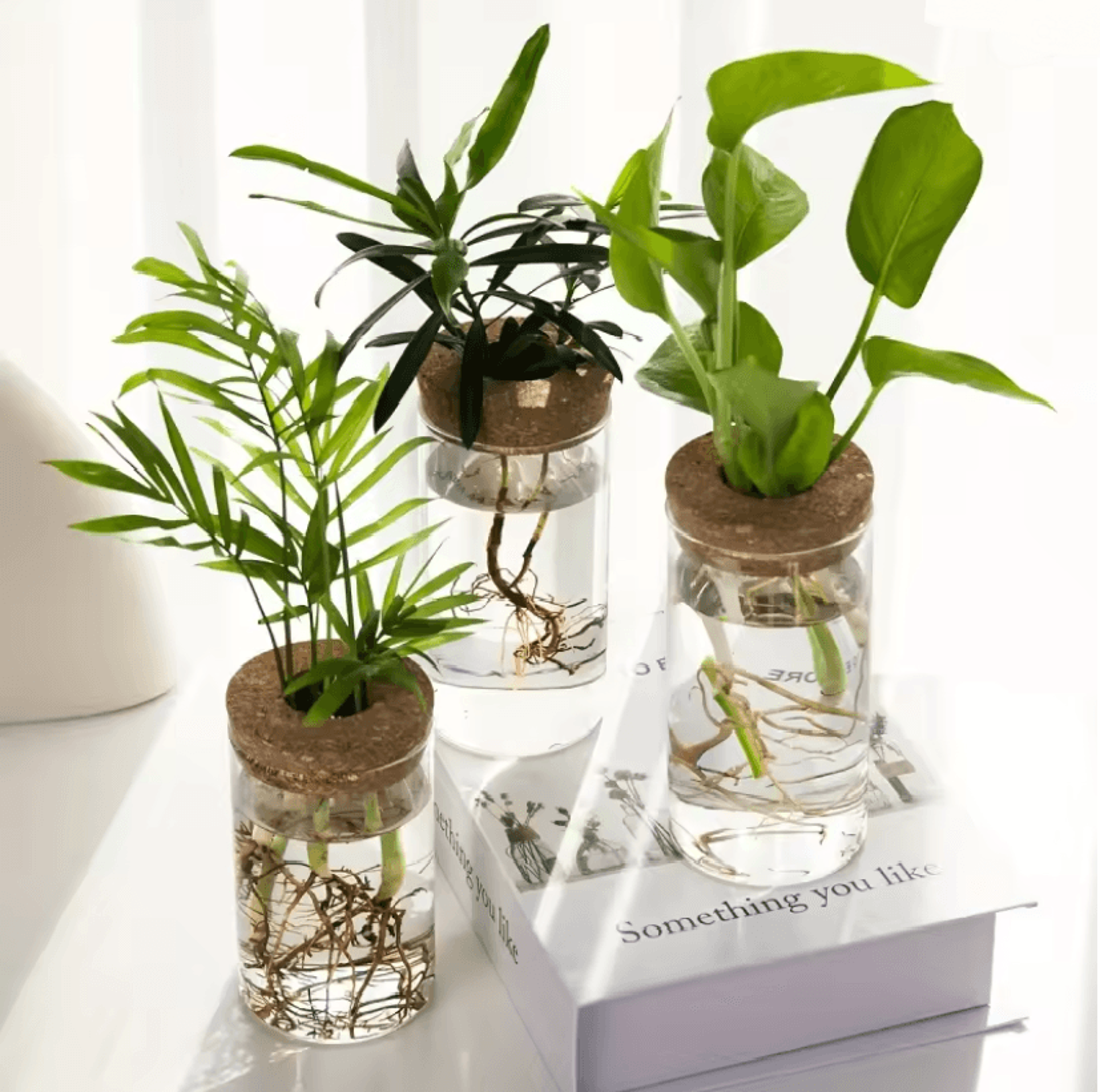 AquaBloom Desktop Glass Hydroponic Planter Vase 1
