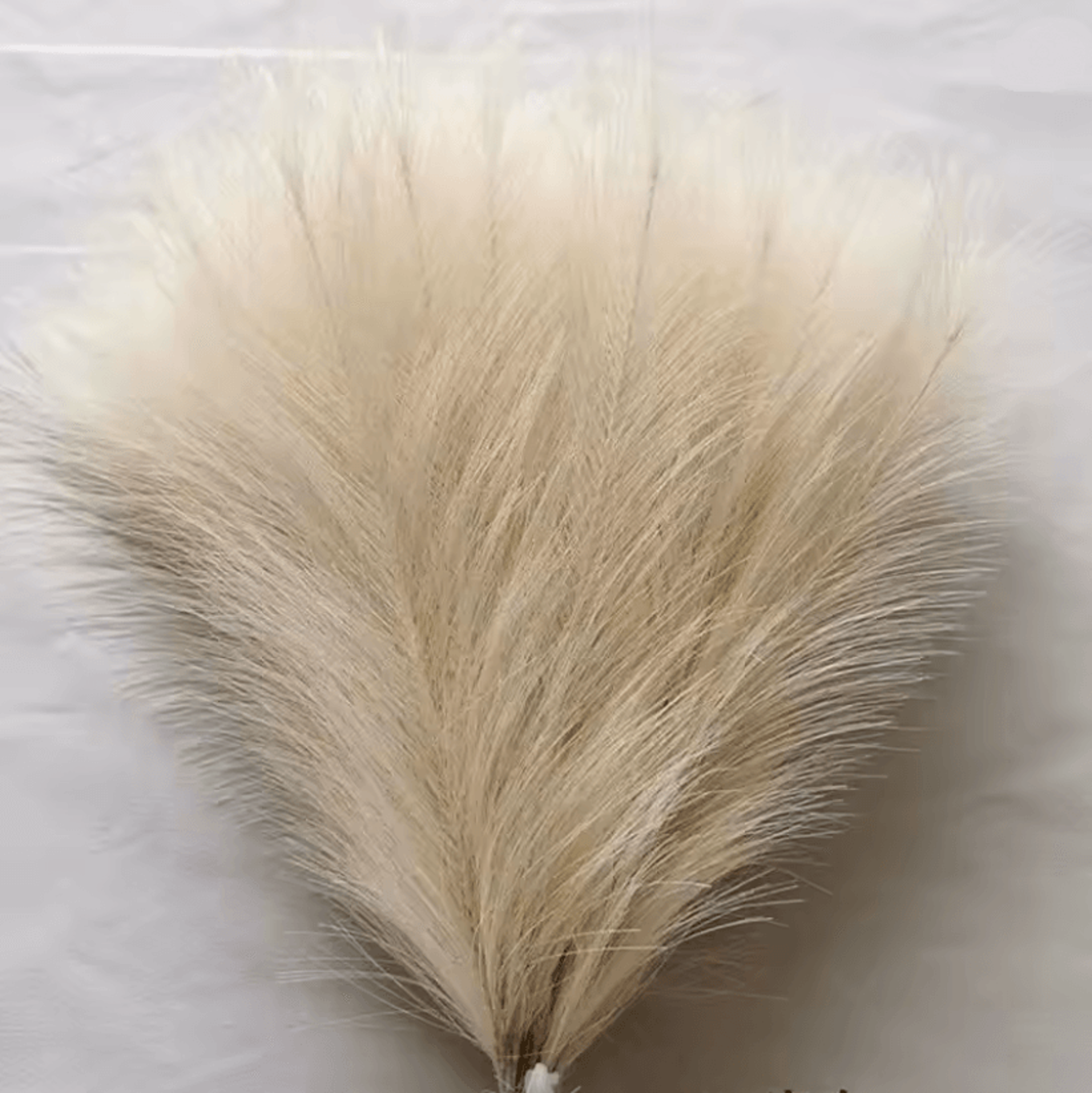 BloomAura Artificial Pampas Grass Set 5