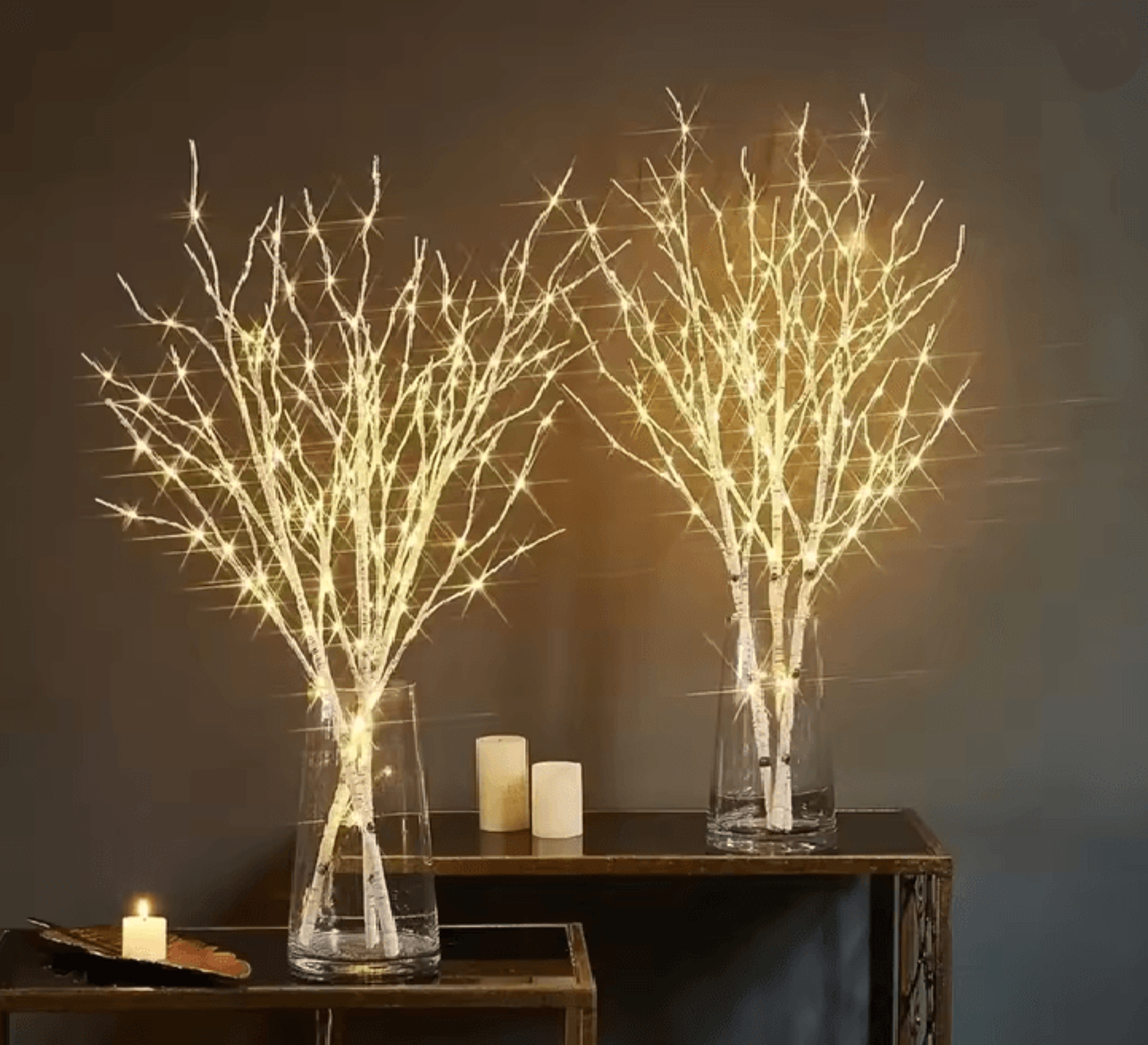 White Birch Branch LED Light 0
