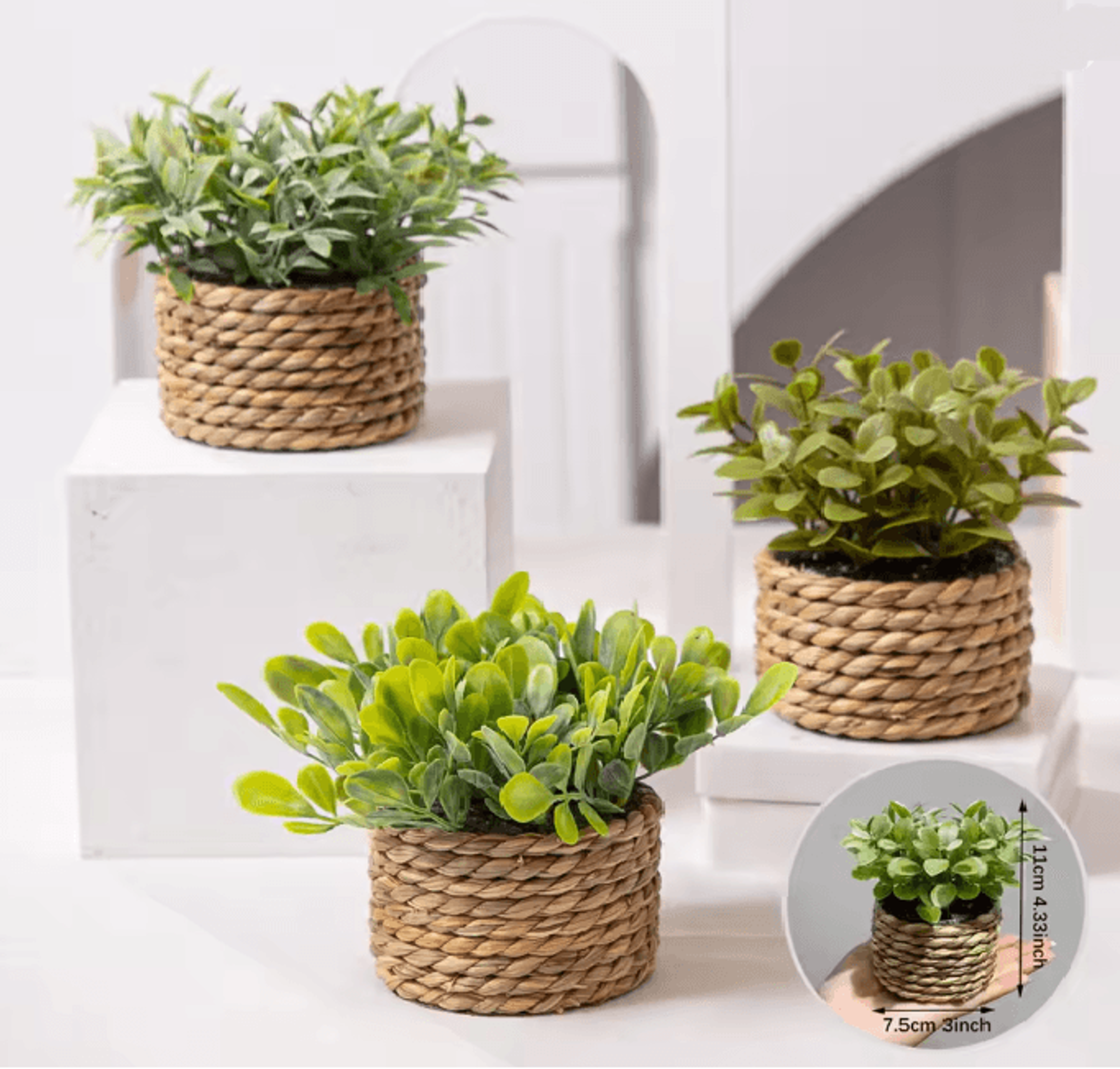 Mini Eucalyptus Potted Plant Decor 0