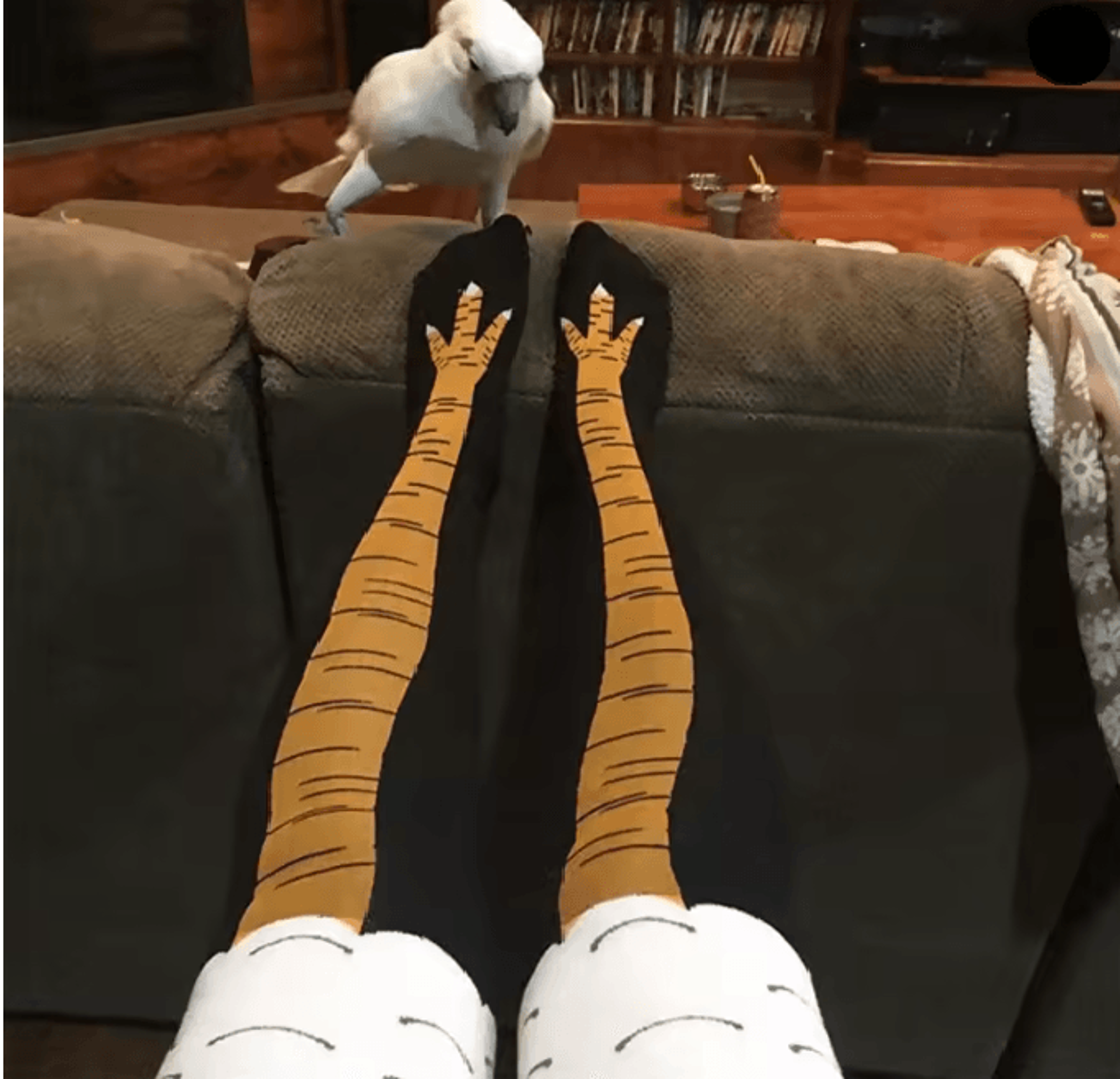 Funny Chicken Print Thigh High Socks 0