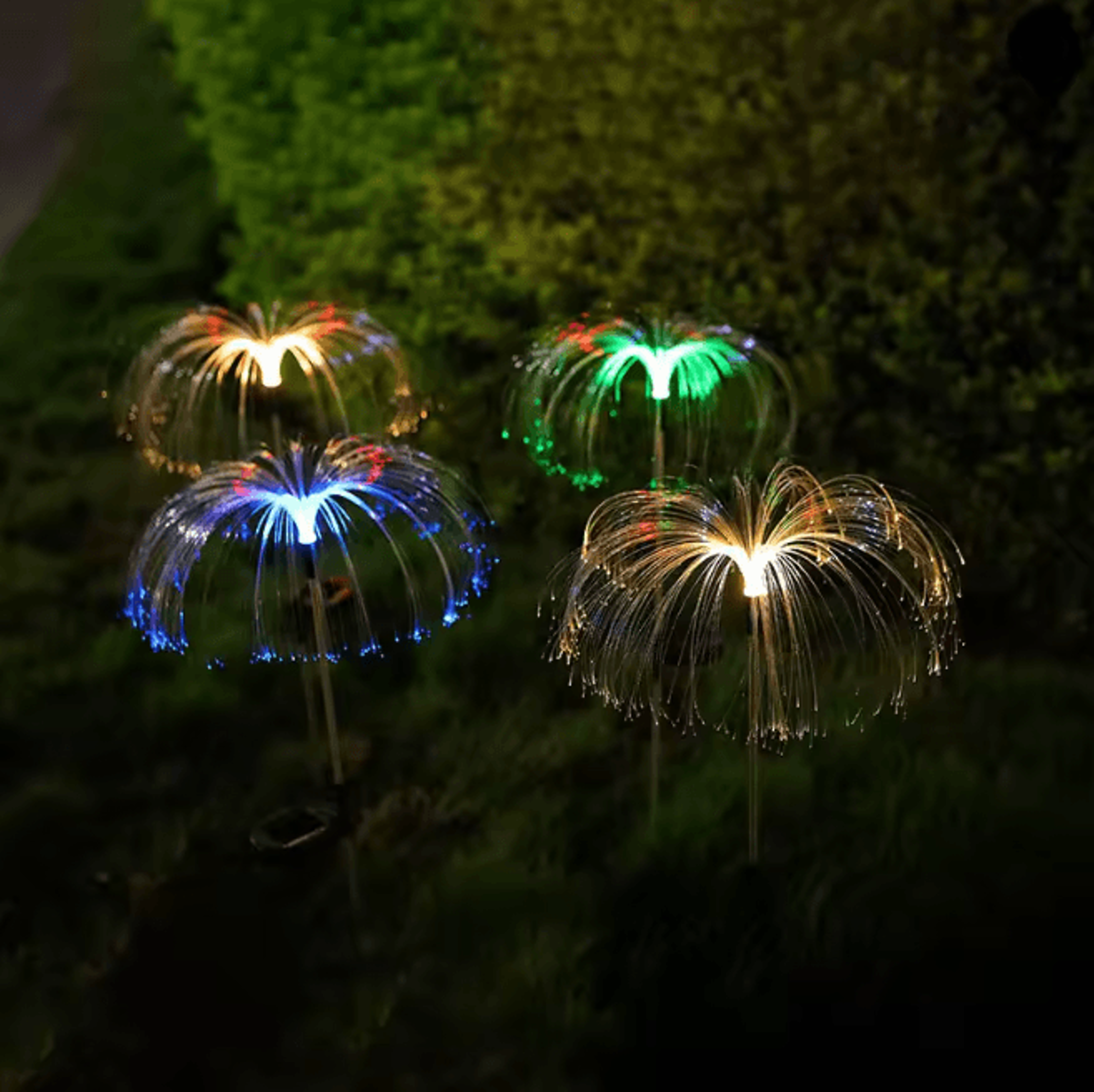 Jellyfish Garden Light 1
