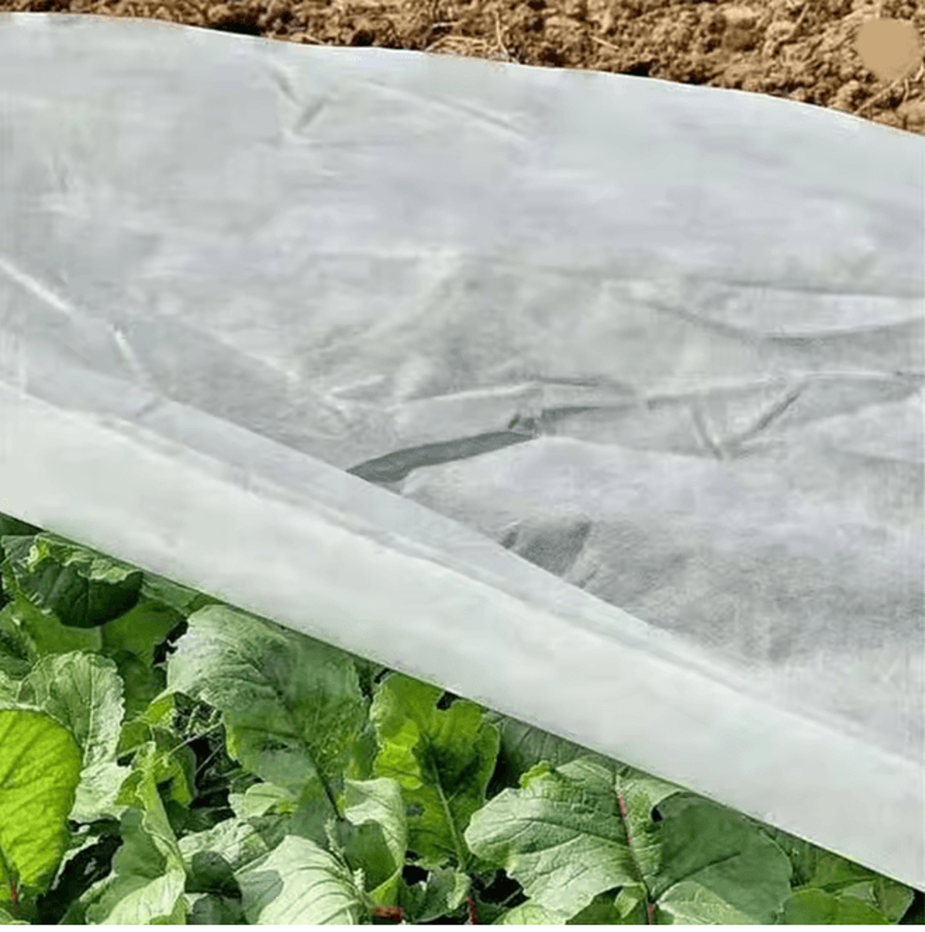 GardenShield Winter Plant Cover 10x30ft Frost Cloth Fabric Sheeting 2