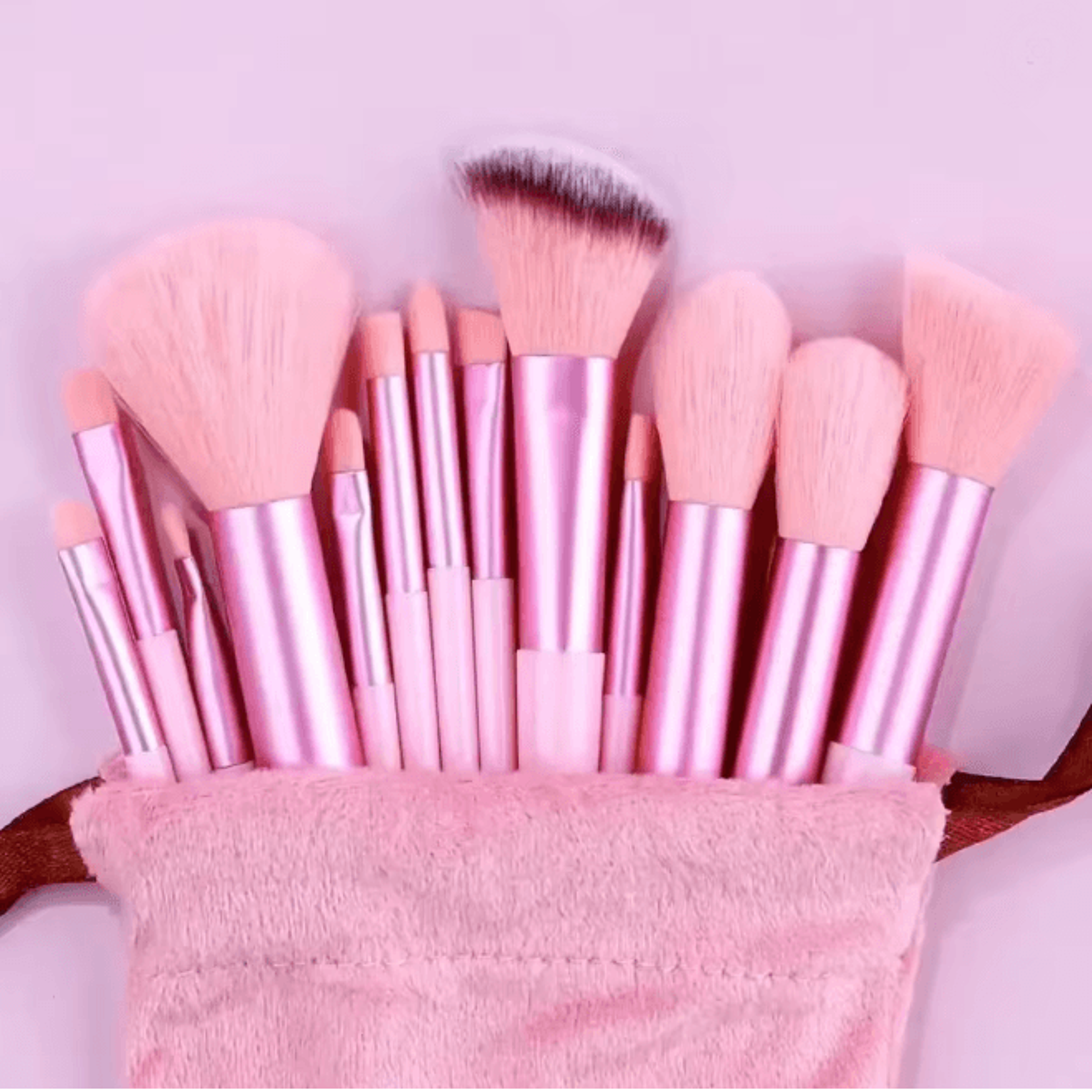 ProBlend 13 Piece Makeup Brushes Set For Face And Eyes 12